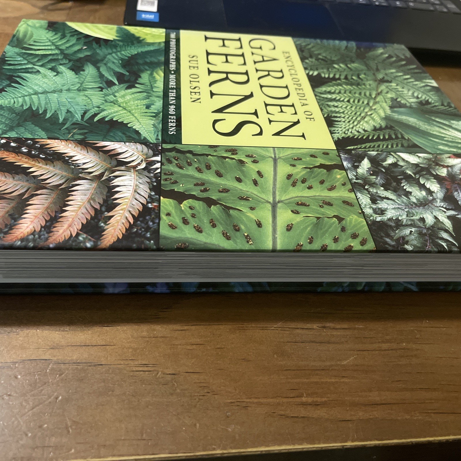 Encyclopedia of Garden Ferns by Sue Olsen (2007, Hardcover)