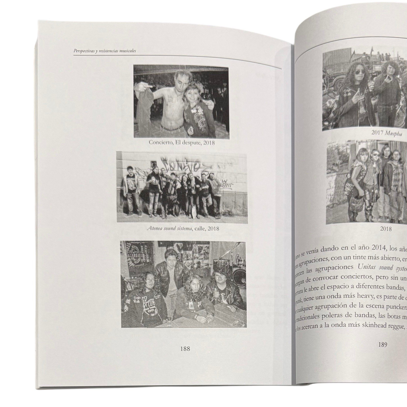 Perspectivas Y Resistencias Musicales Vol 1 Julio 2023 Reynaldo Tapia 220 Pages.