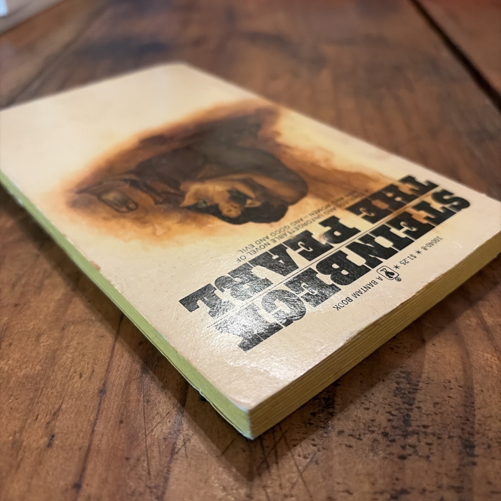 The Pearl John Steinbeck 1974 Bantam Edition Classic Fiction