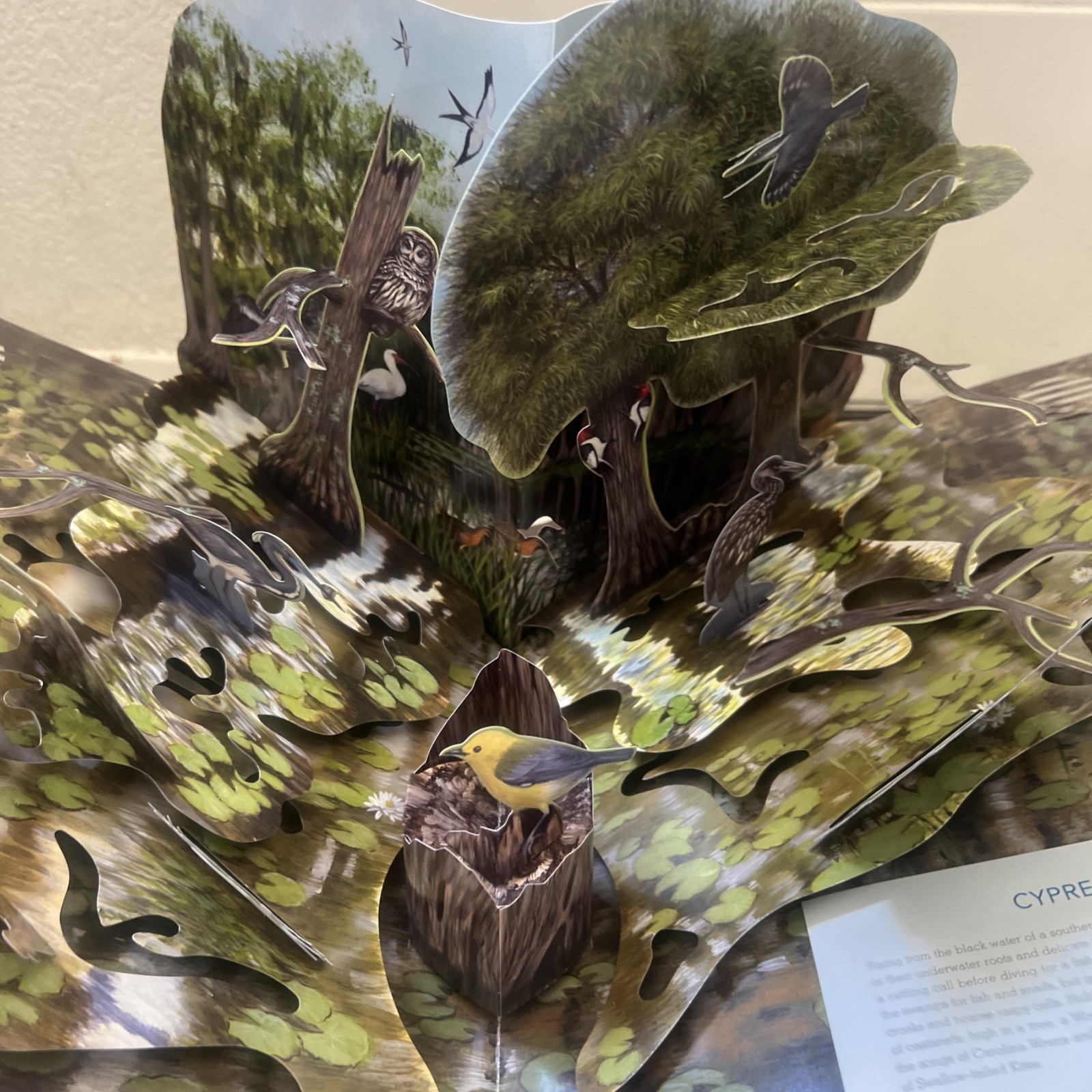 Birdscapes Pop Up Book Cornell Lab Miyoko Chu 2008 WORKING SOUND Birdsongs Audio