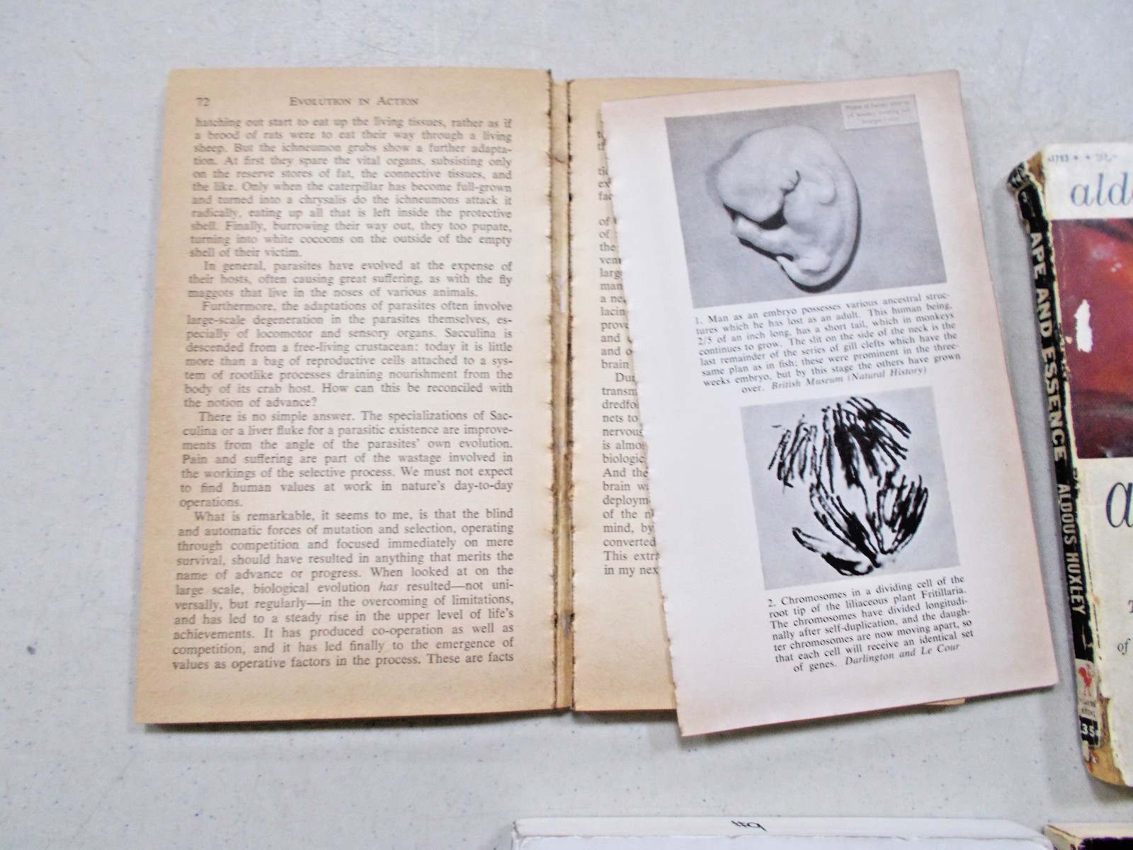 4 ALDOUS JULIAN HUXLEY MIXED PB TRADE PB EVOLUTION ESSENCE NEW WORLD HEAVEN HELL