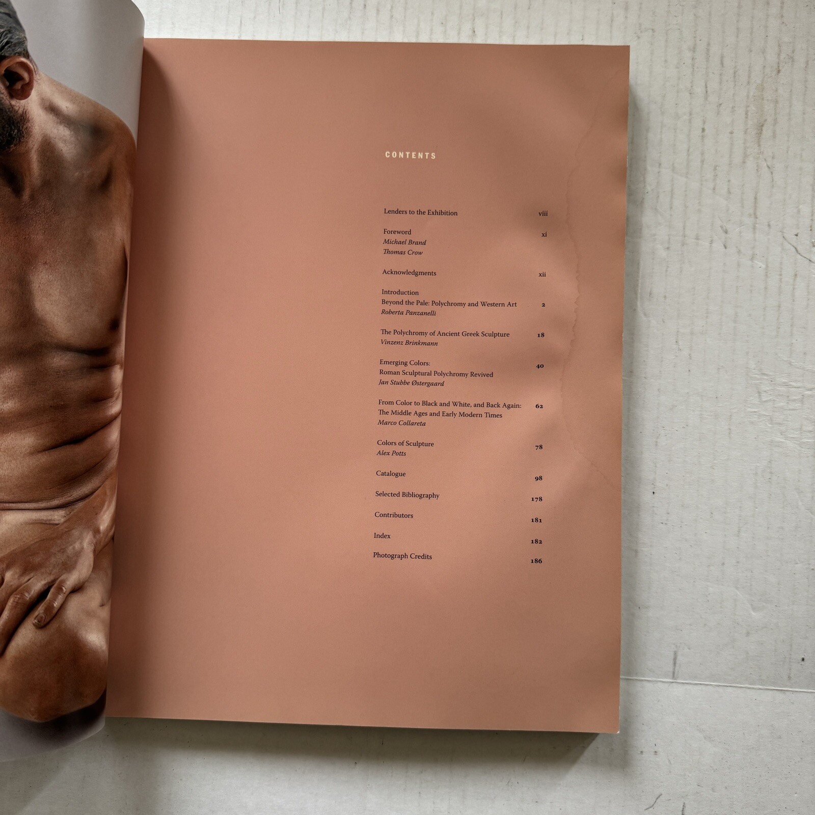 The Color of Life: Polychromy in Sculpture from Antiquity to the Present by pap