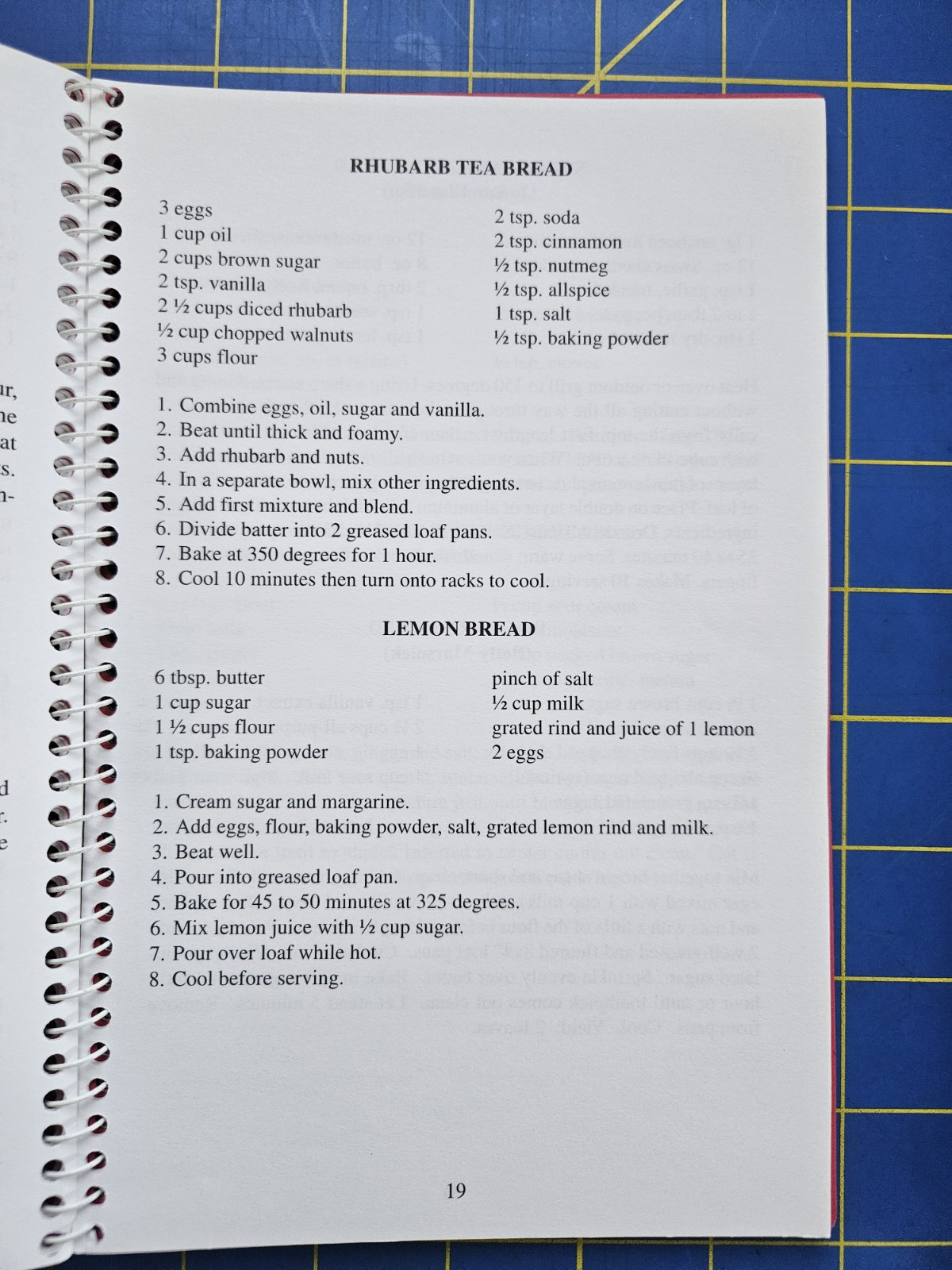 1998 Arcadia Holiday Cookbook Wisconsin 88 Pages Spiral Community Recipes