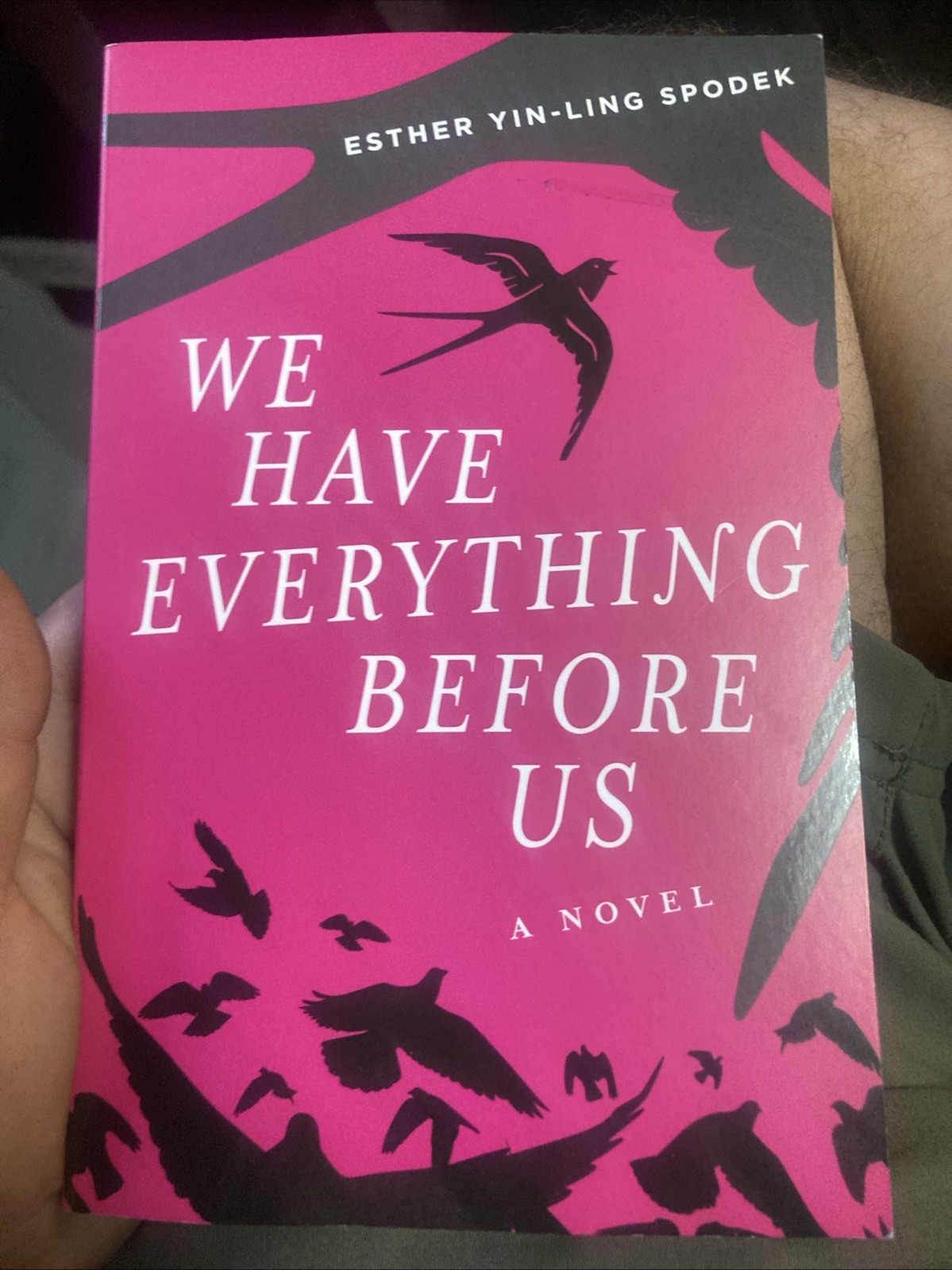 We Have Everything Before Us by Esther Yin-Ling Spodek