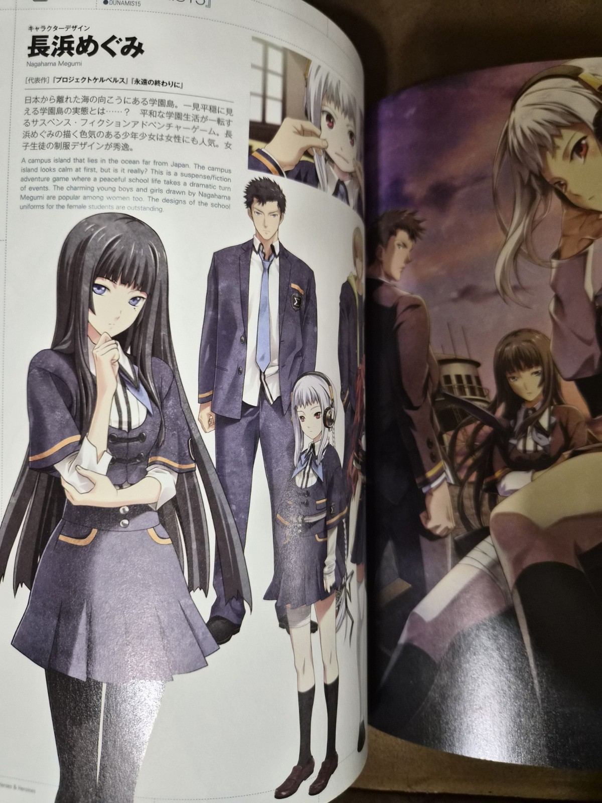 Heroes and Heroines: Japanese Video Game + Animation Illustration Art Book Anime