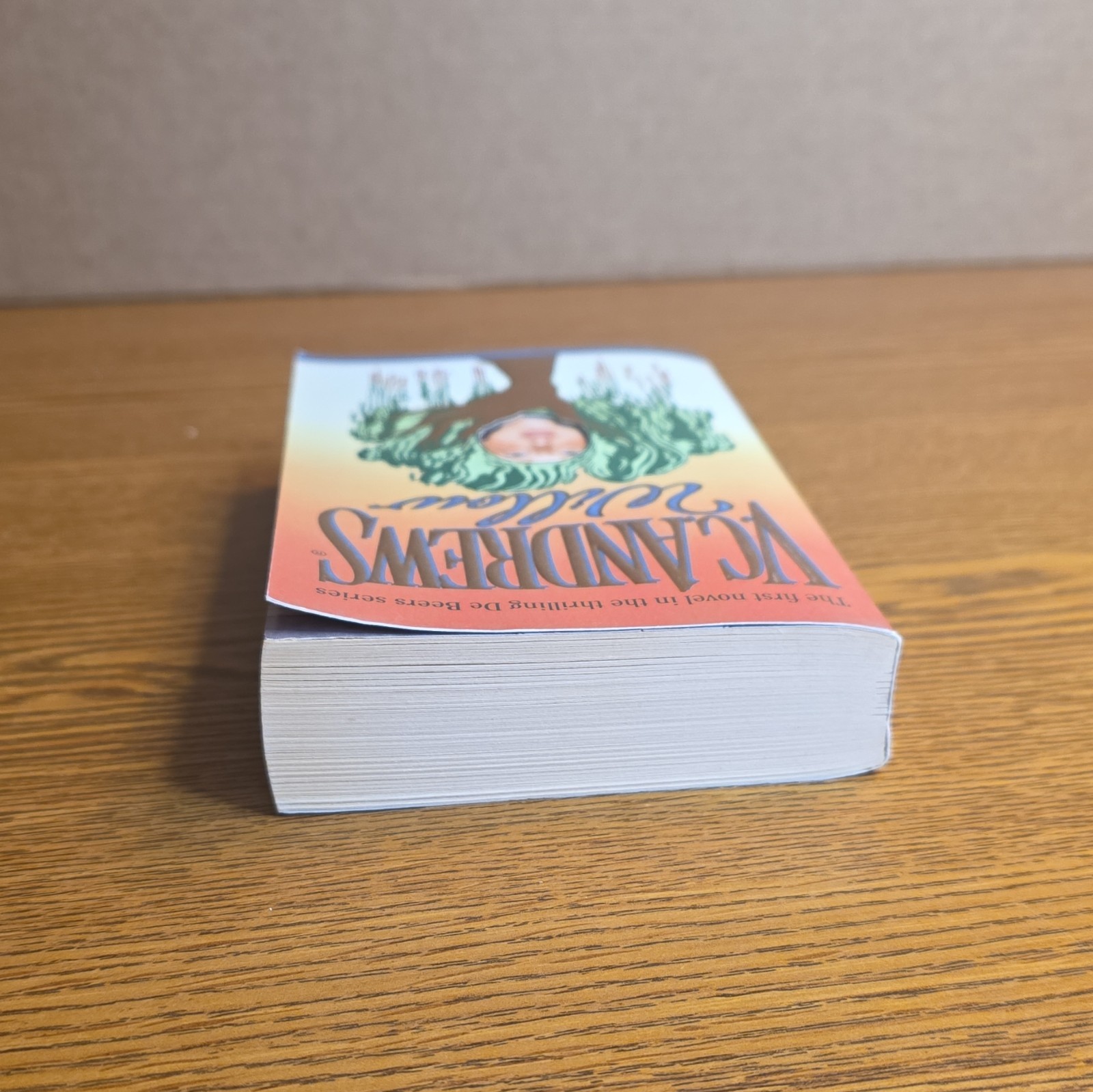 V.C. Andrews Willow Paperback Fiction Novel De Beers Series Pocket Books