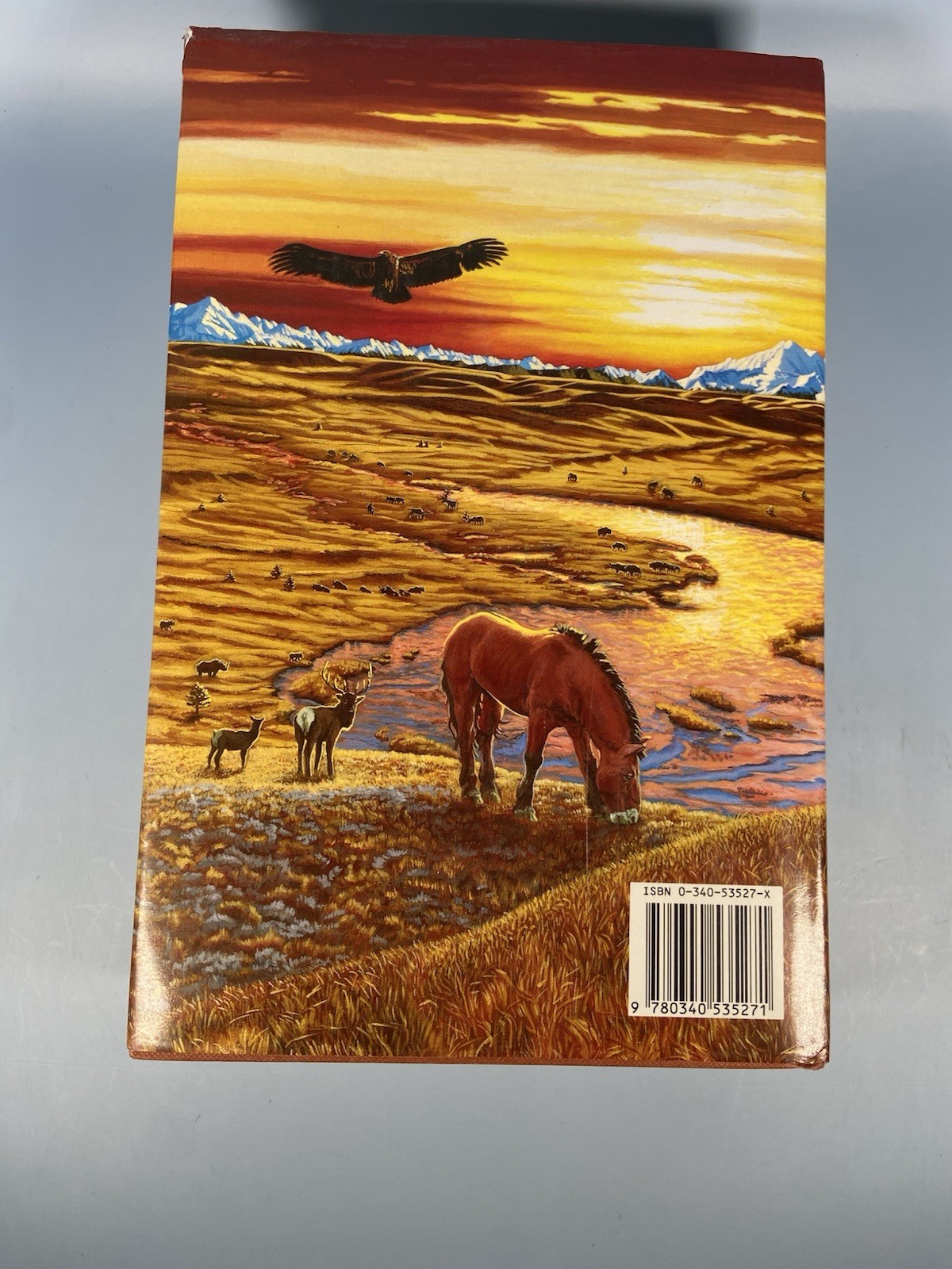 Plains of Passage by Jean M. Auel (1990, Hardcover)
