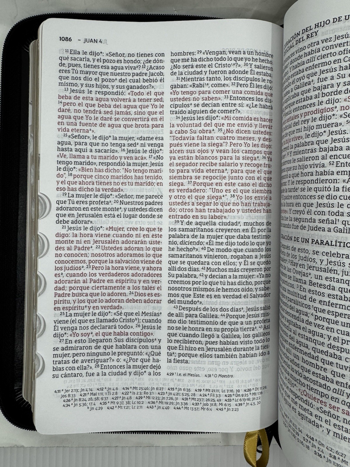 NBLA, Biblia, Ultrafina, Letra Grande, Tamaño Manual, Leathersoft, Negro, indice