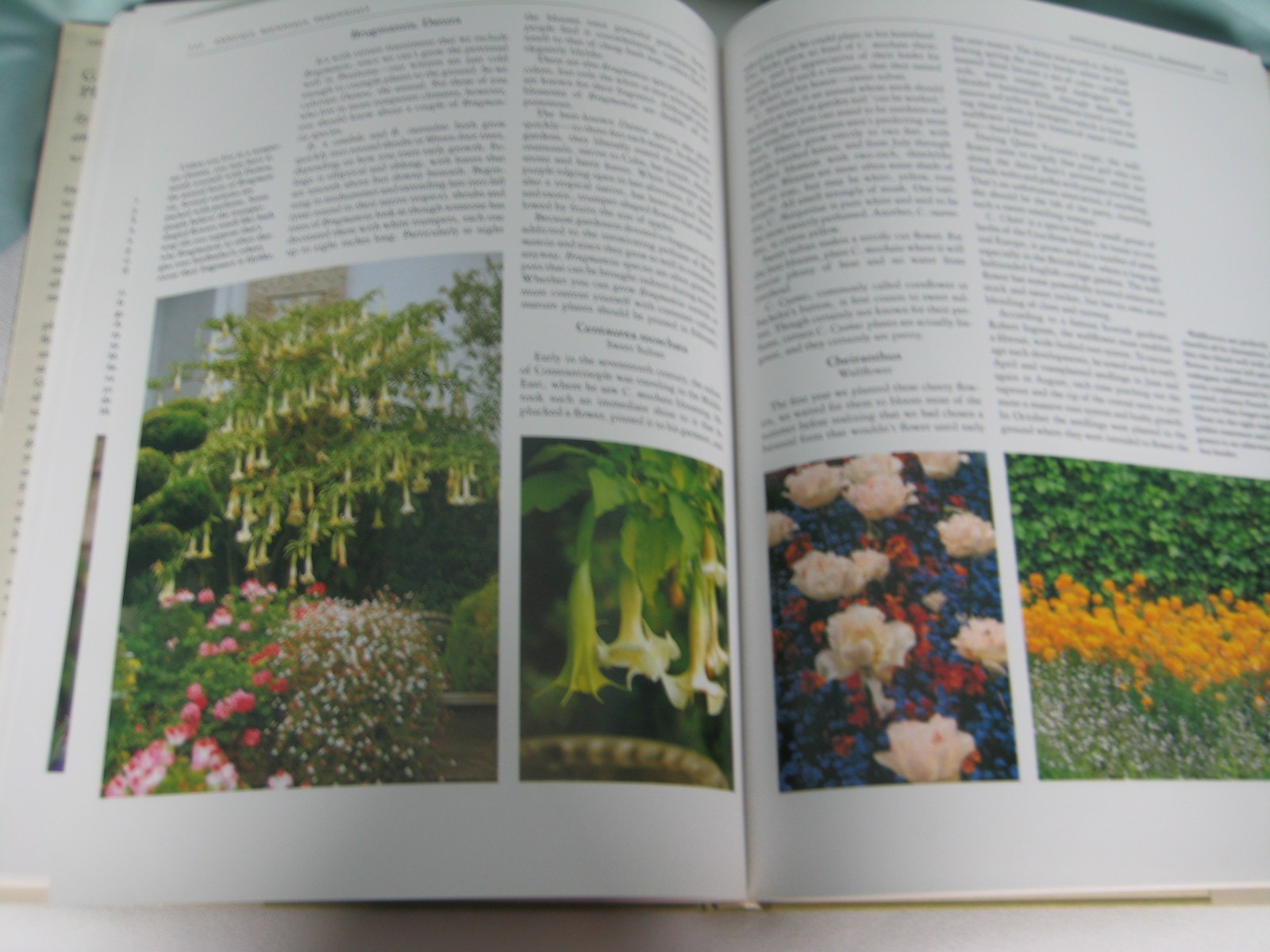 Growing Fragrant Plants Rayford Clayton Beddel 176 pages First Edition