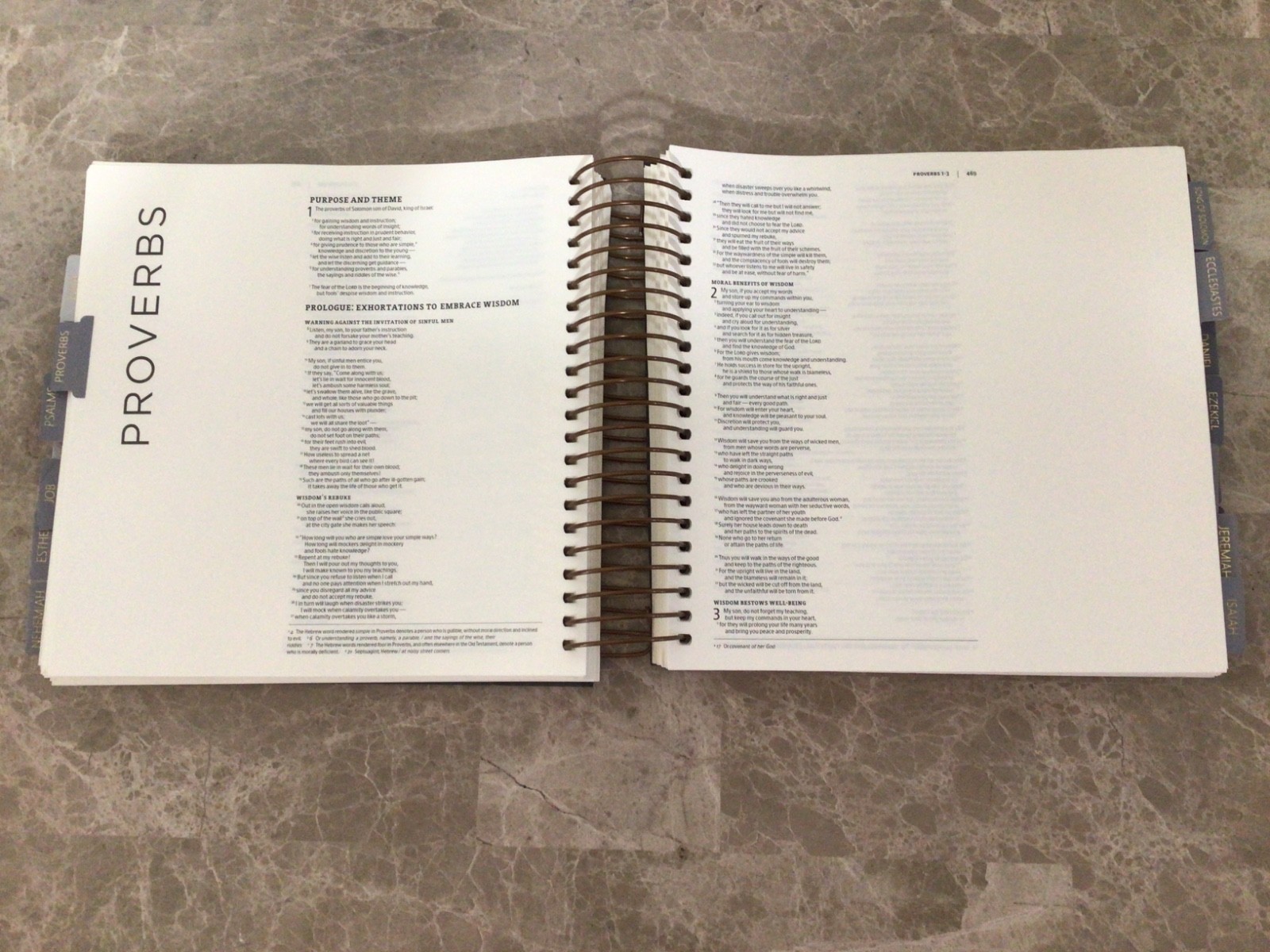 New International Version Illustrating Bible by DaySpring 2020 Leather Spiral