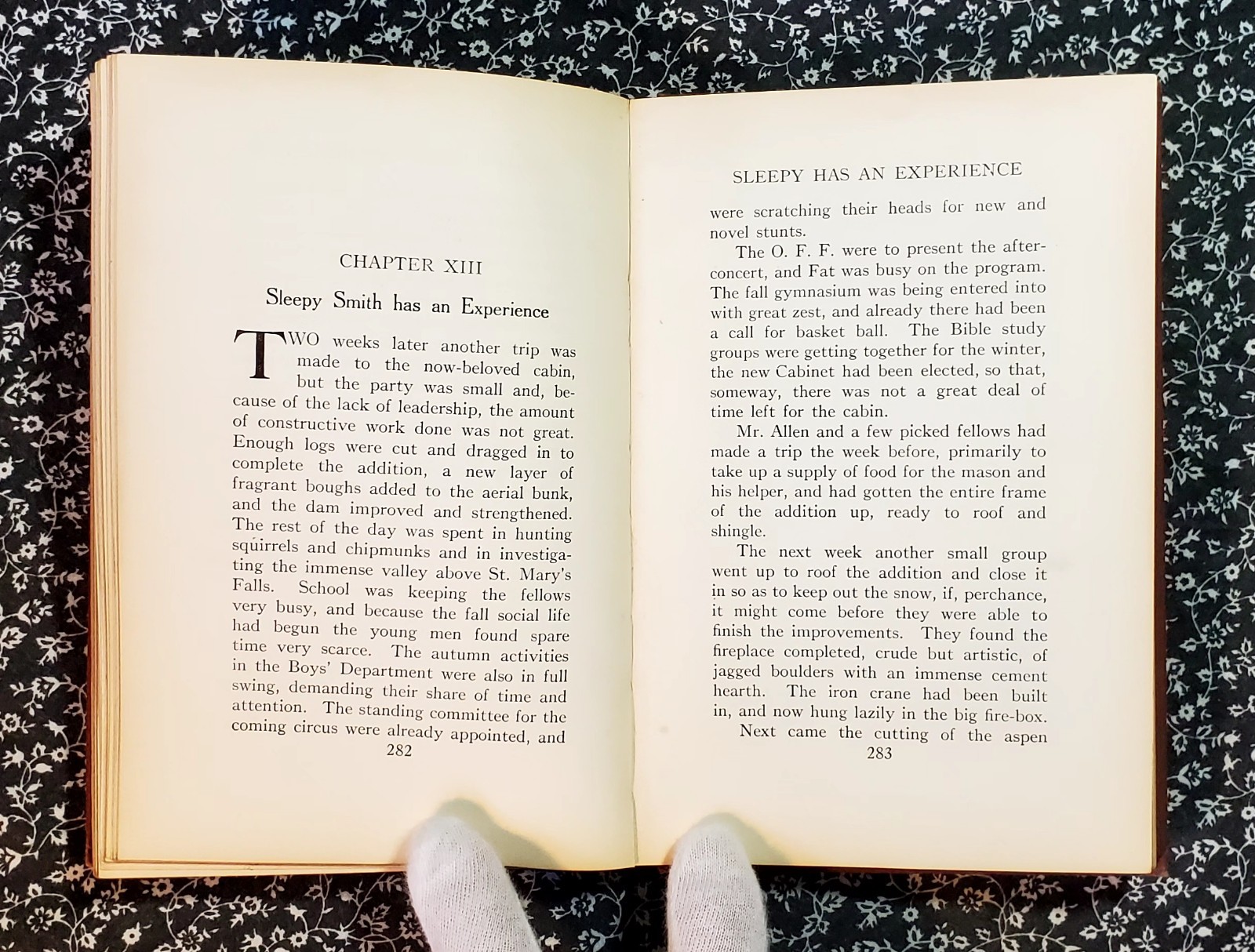 Buffalo Roost, F. H. Cheley, 1913, First Edition, Hardcover, Antique