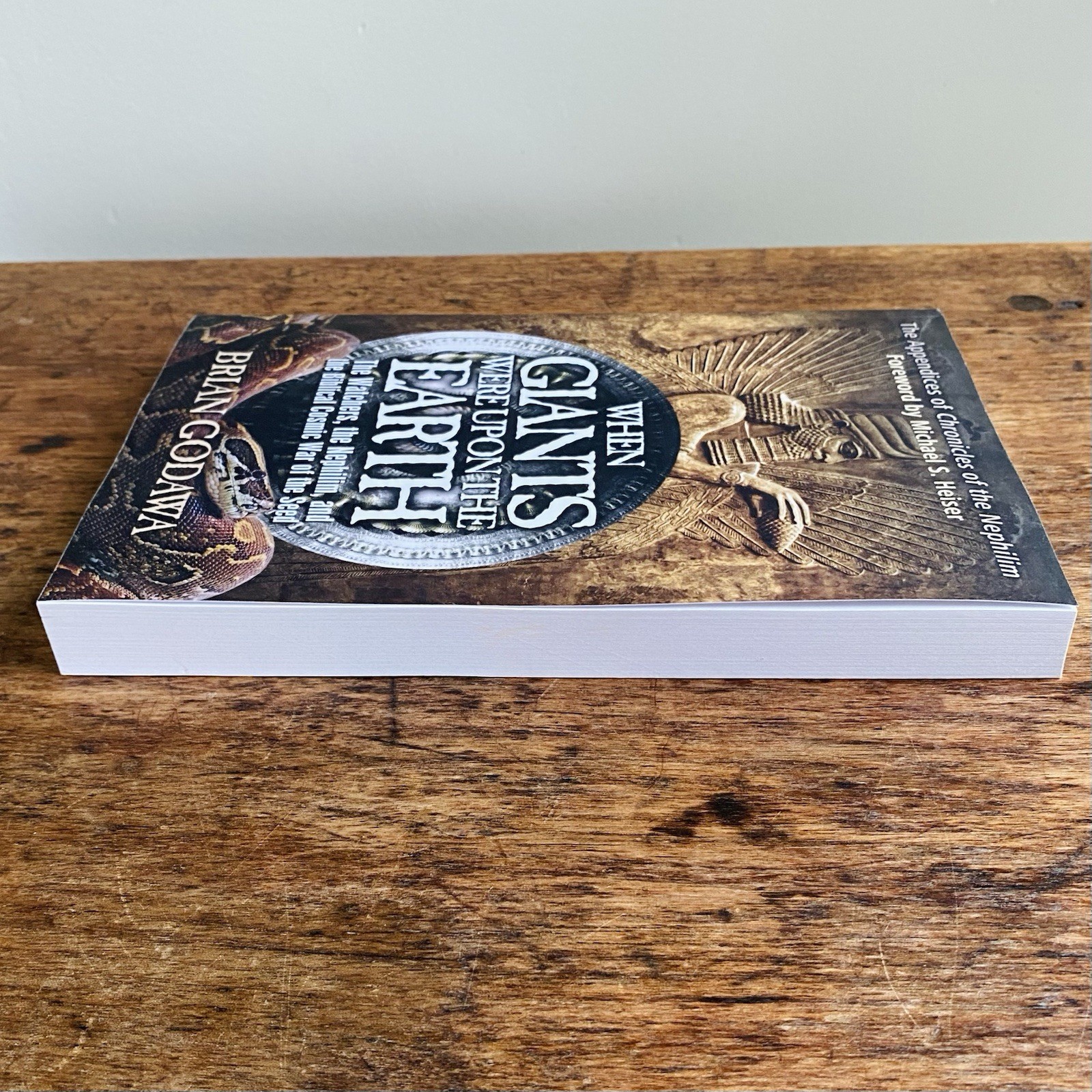When Giants Were upon the Earth by Brian Godawa 2014 Paperback