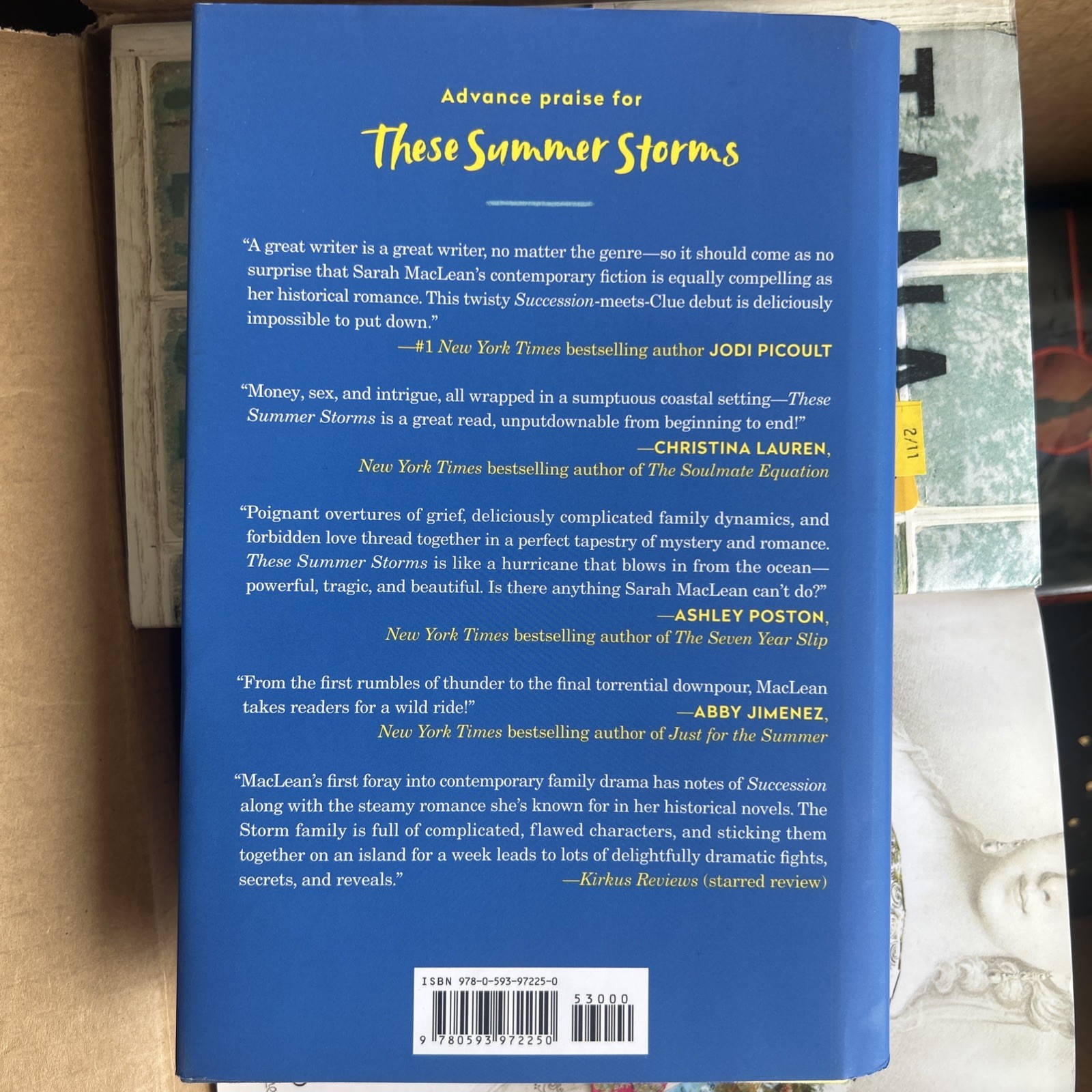 These Summer Storms: A Novel – hardcover MacLean, Sarah