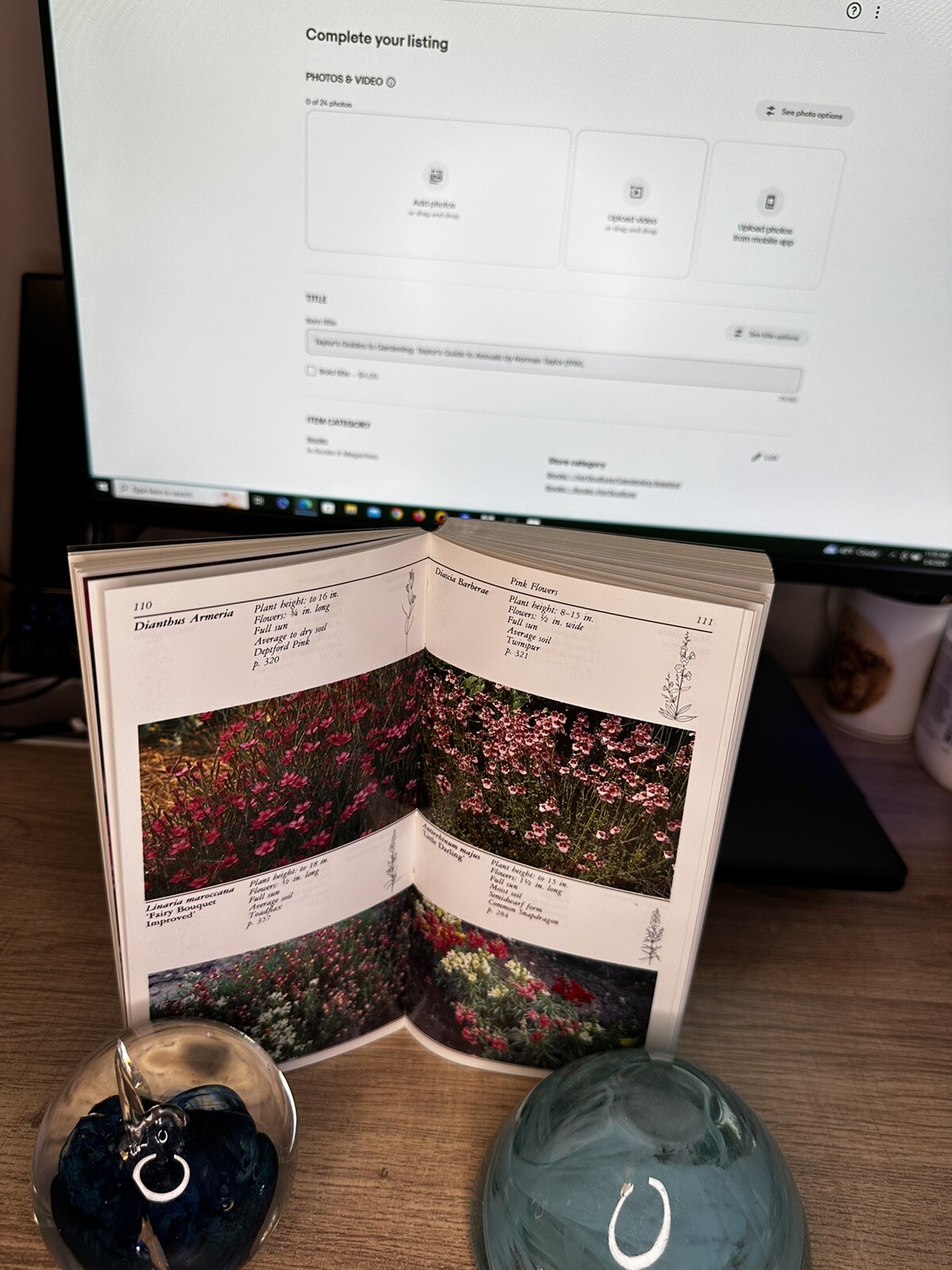 Taylor’s Guides to Gardening: Taylor’s Guide to Annuals by Norman Taylor (1986,