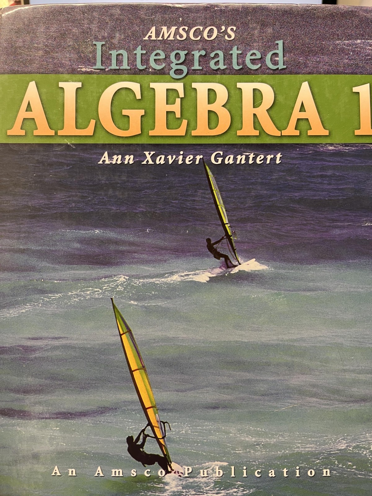 Amsco’s Integrated Algebra 1