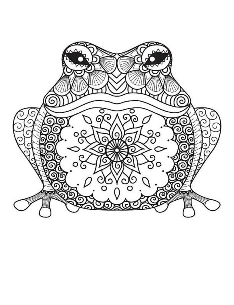 Best frog Coloring Book Save The Frog 108 Pages 8.5 x 11 for All Ages
