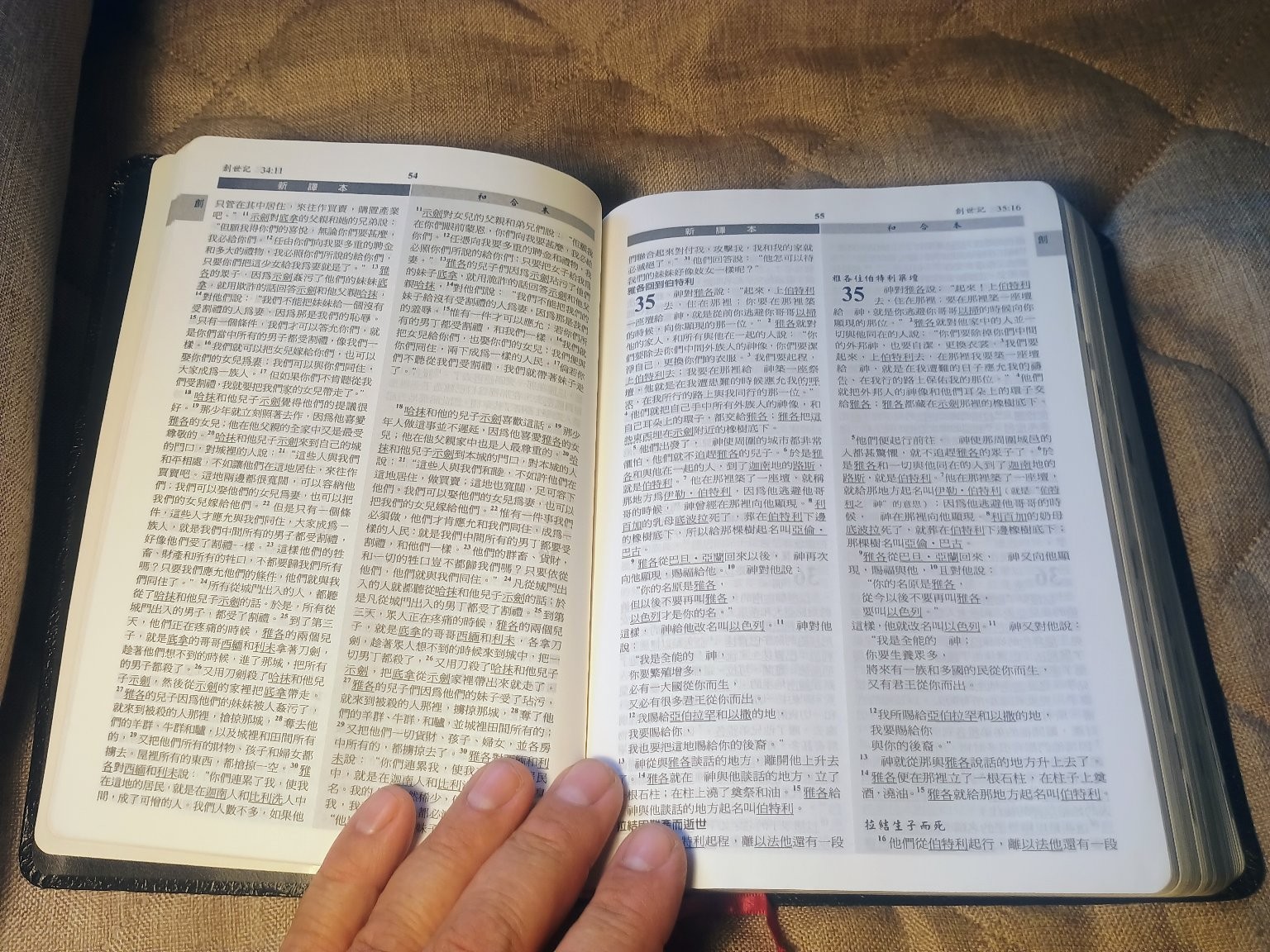 新譯和合聖經 New Chinese Version Union Parallel Bible Worldwide Bible Society