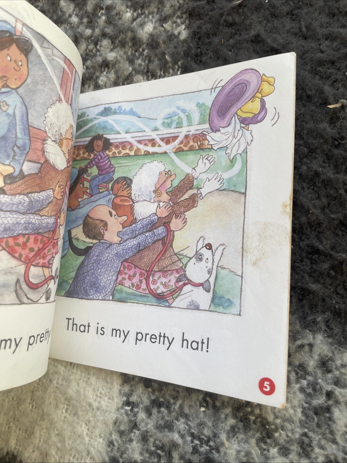 SIGHT WORD READERS. THAT HAT, THAT PRETTY. 14 BY 14 CM, 0439511593
