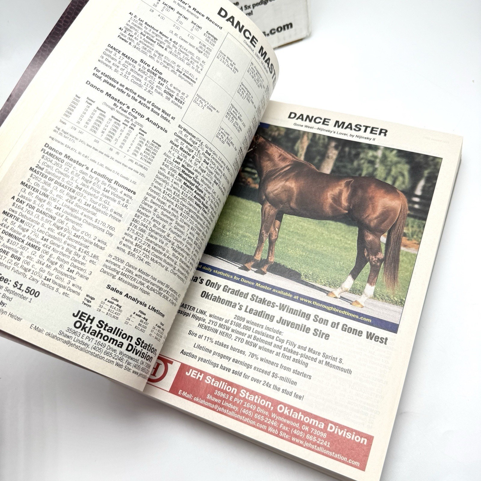 Thoroughbred Times Stallion Directory 2010 Paperback Equestrian Horse Breeding