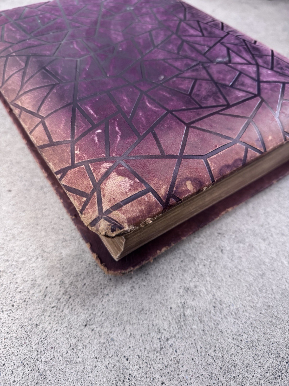 1800s Vintage Book Holy Bible Altemus Antique Leather Original