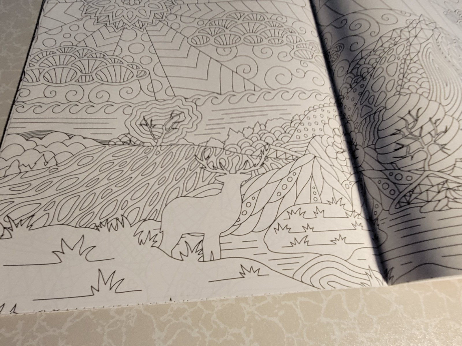 BRILLIANT ESCAPES – ADULT COLORING BOOK -48 Pages Of Summer – Suns, Animals-MORE