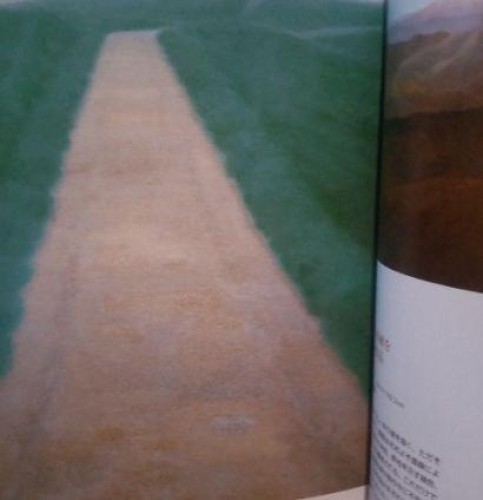 Kaii Higashiyama Art Book Life and Works Japanese Painter Beginner Guide
