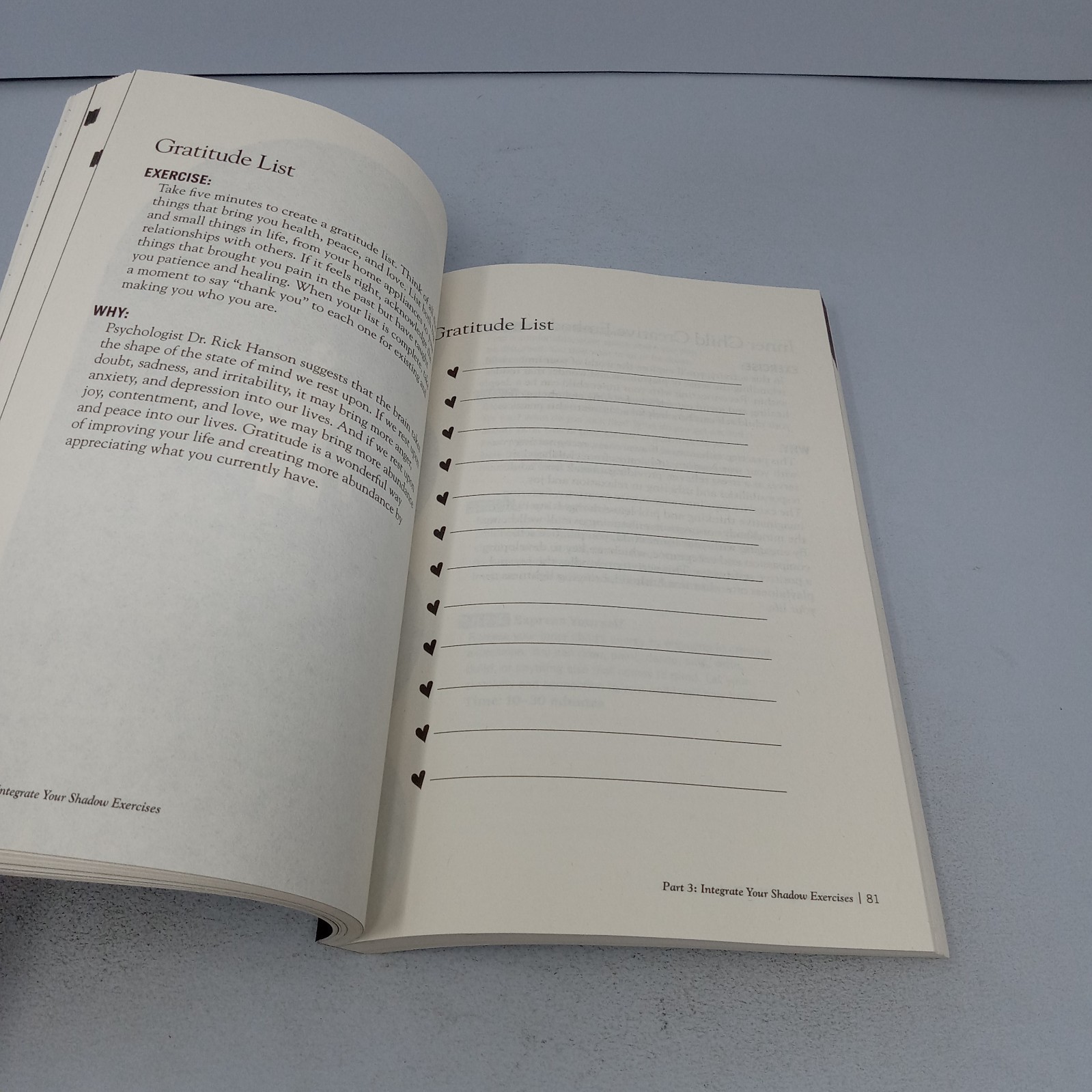 The Shadow Work Journal: 2024 Primero Sueño Press Paperback by Keila Shaheen