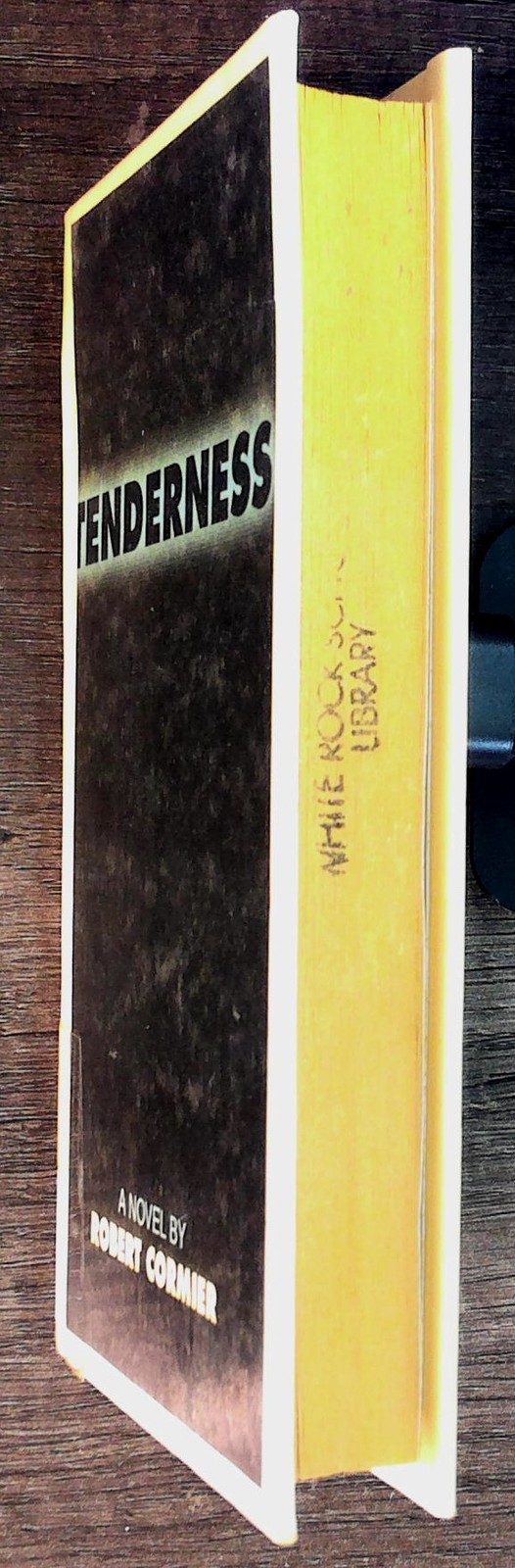 Tenderness by Robert Cormier 1998 Edition
