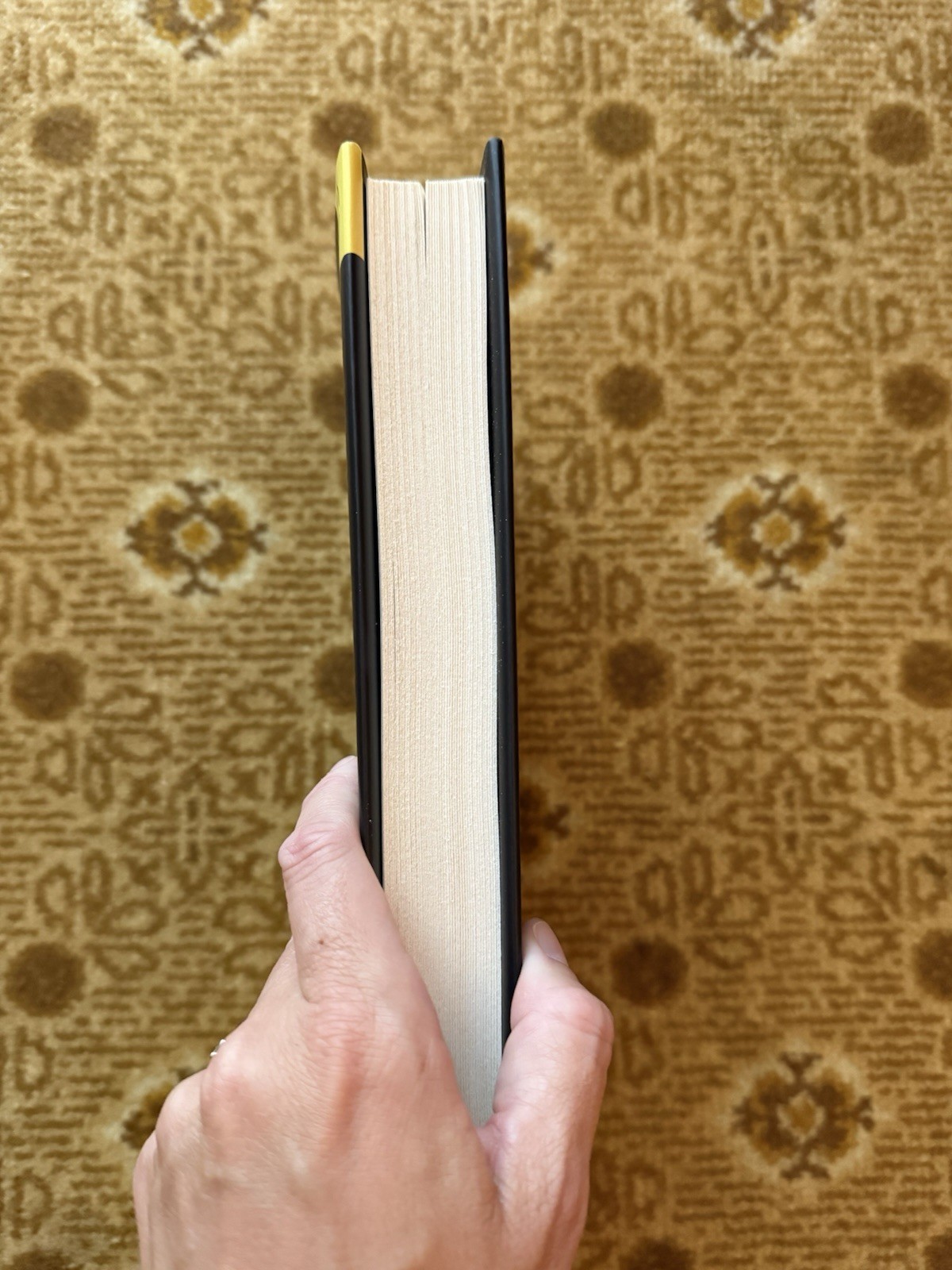 Lady Tremaine : A Novel by Rachel Hochhauser (2026, Hardcover)