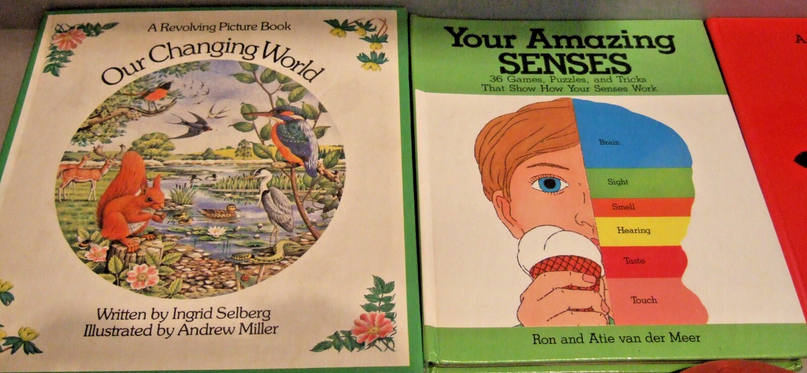 7 CHILDREN’S BOOKS LOVE BUGS, WHOSE HOUSE, AMAZING SENSES, CLOCK SHOP, 10 IN