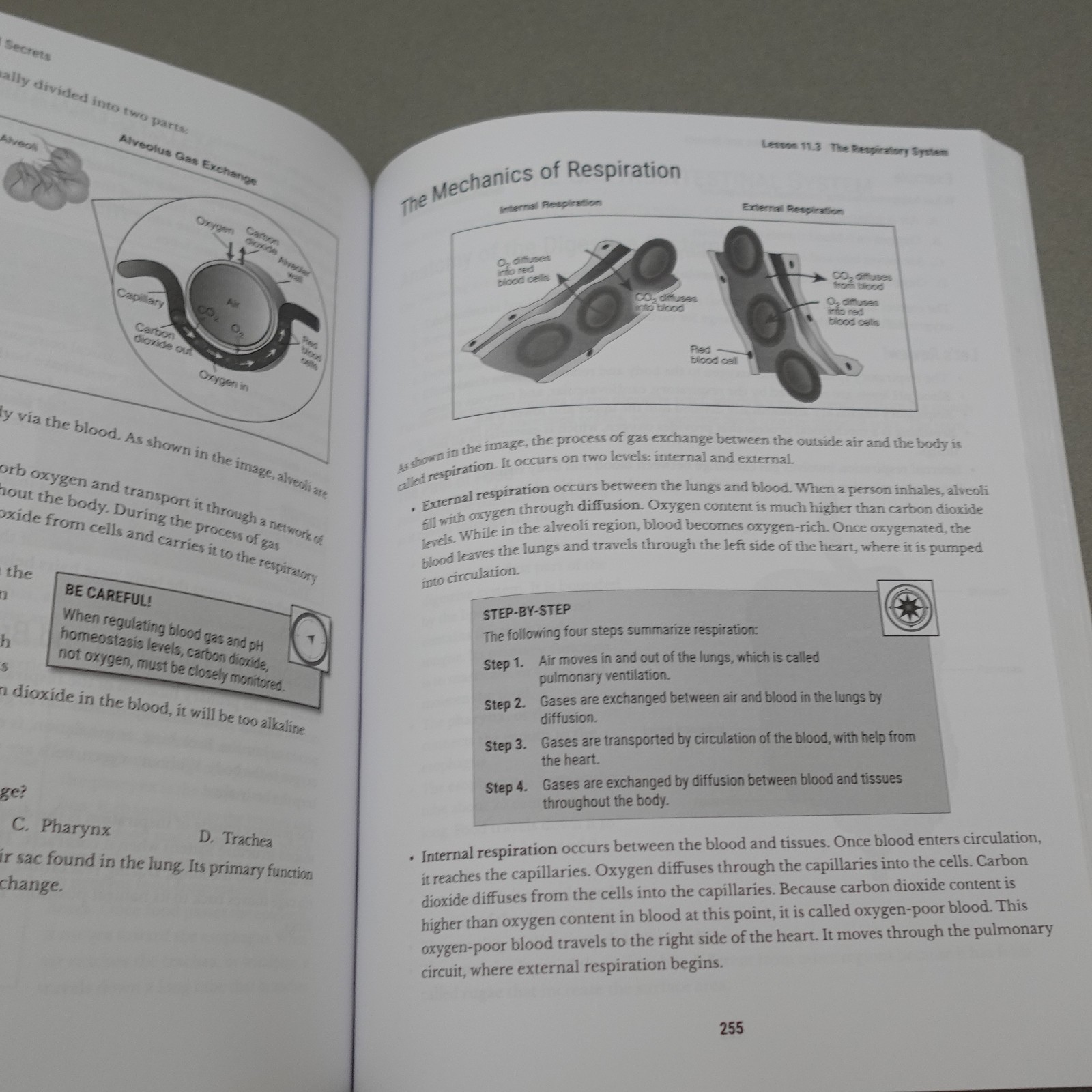 HESI A2 Full Study Guide 3rd Edition Smart Edition Paperback 2022 Unmarked