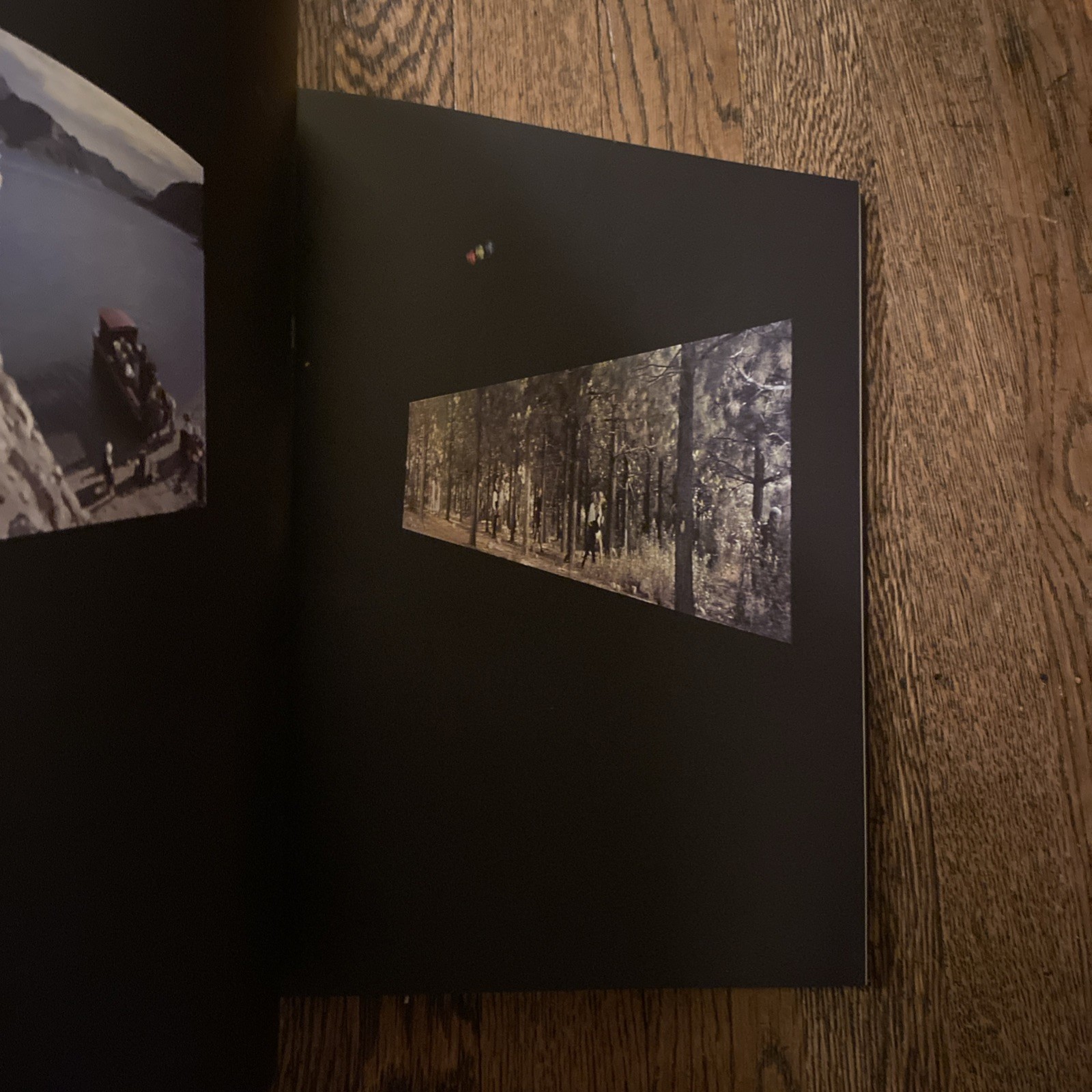 Bill Viola, Going Forth By Day, Guggenheim, Art Exhibition Catalog, 2002, HC/DJ