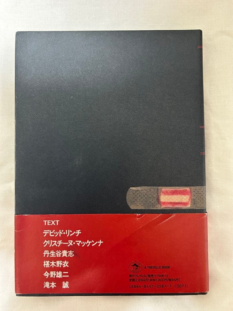 David Lynch Paintings And Drawings Treville 1991 Japan Art Book Rare Good Copy