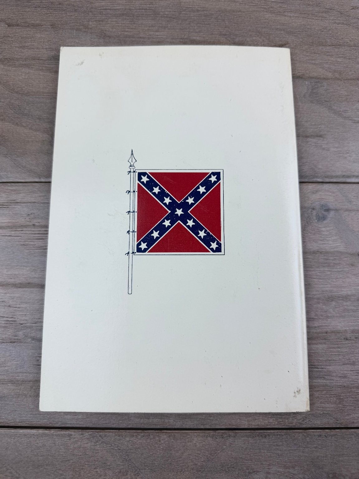 Southern View Invasion Southern States War 1861-65 Capt S. A. Ashe Reprint