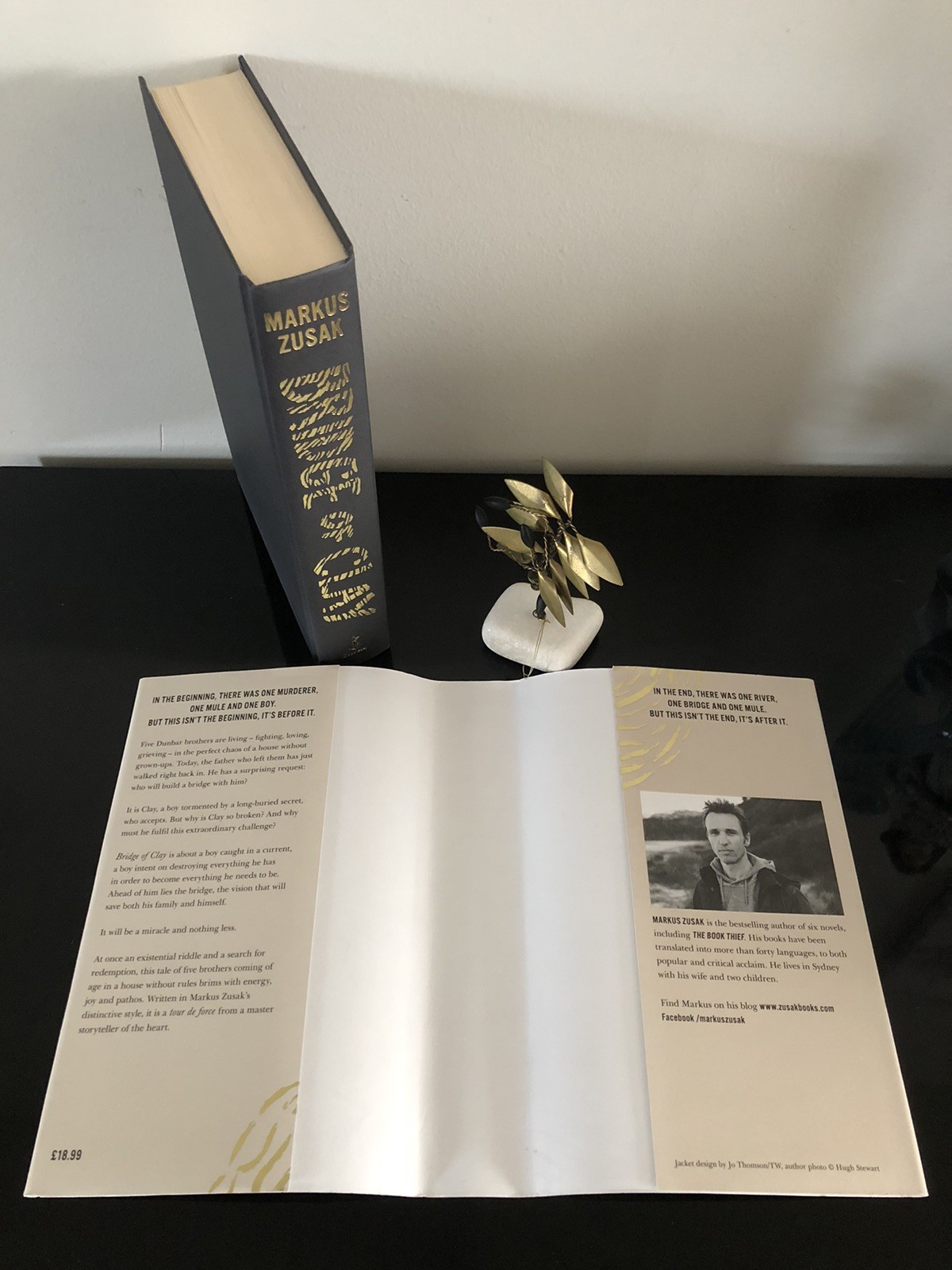 Markus Zusak Bridge Of Clay Doubleday 2018 First Ed/F.Pr. HC DJ LN + Coll.Stick.