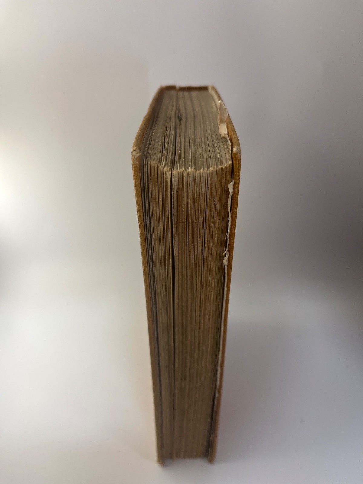 The Moon: A Popular Treatise [Hardcover] Garrett P. Serviss