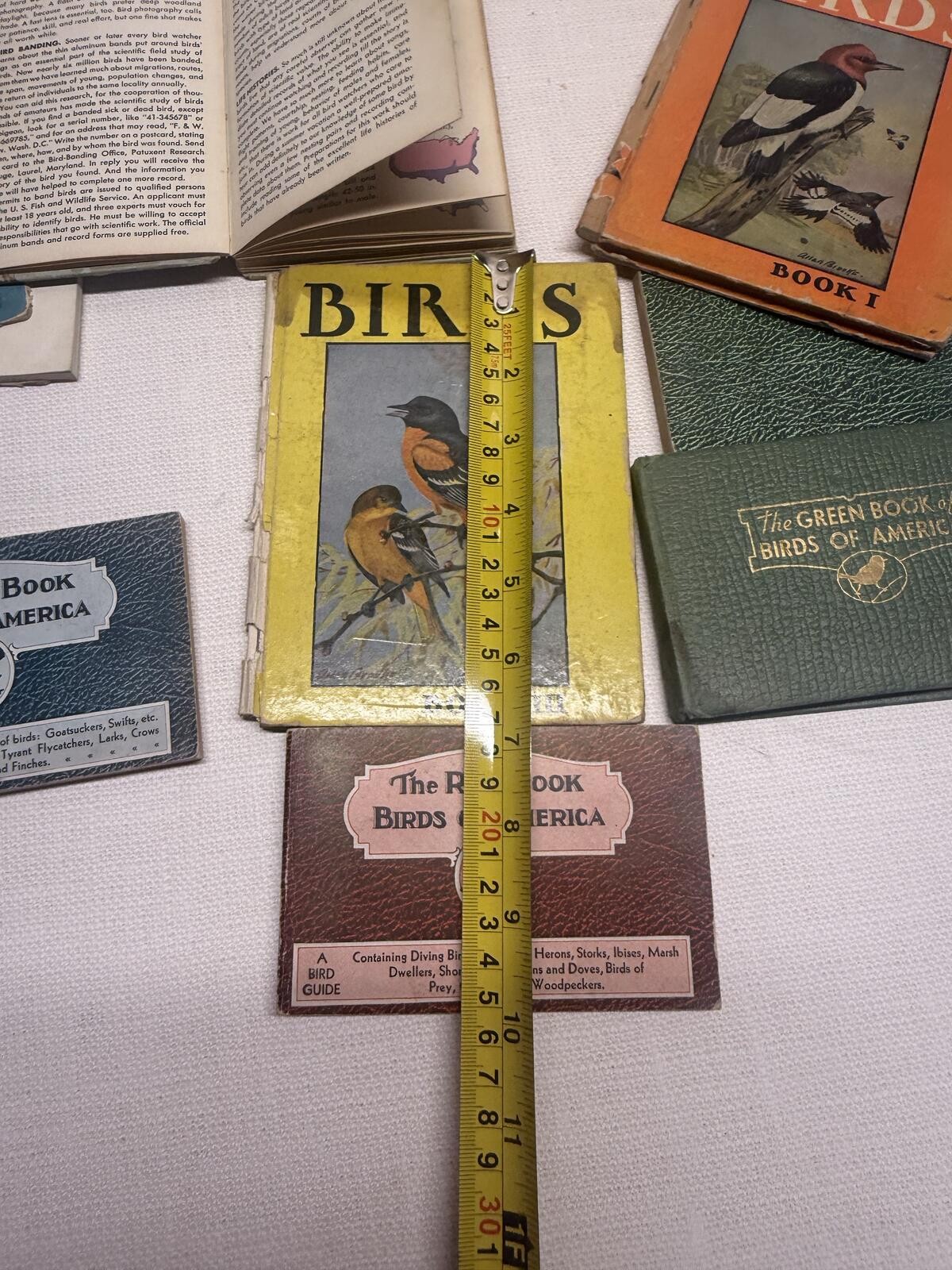 Vintage 1930s Lot Of Bird Identification Bird Watching Books