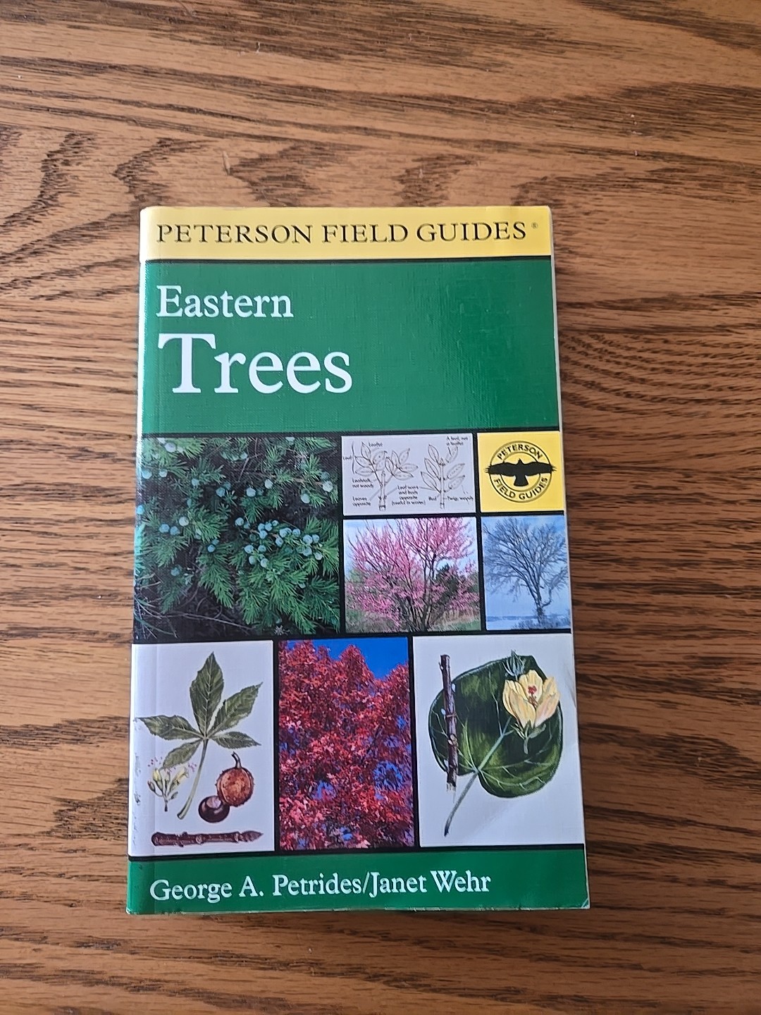 A Peterson Field Guide To Eastern Trees: Eastern United States – 1988
