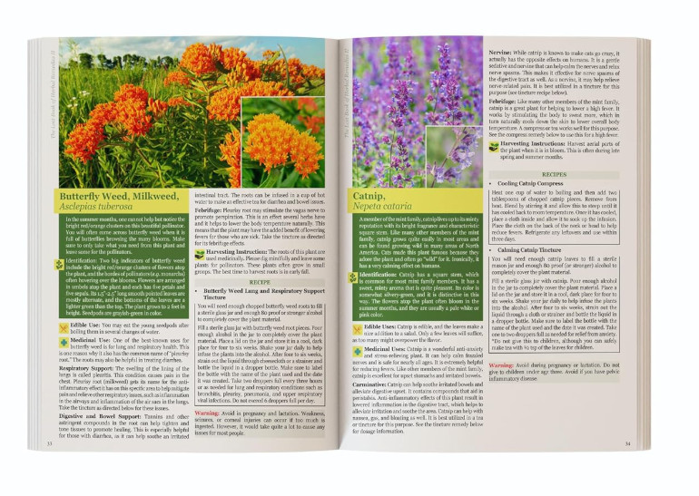 The Lost Book of Herbal Remedies II (paperback with color pictures)