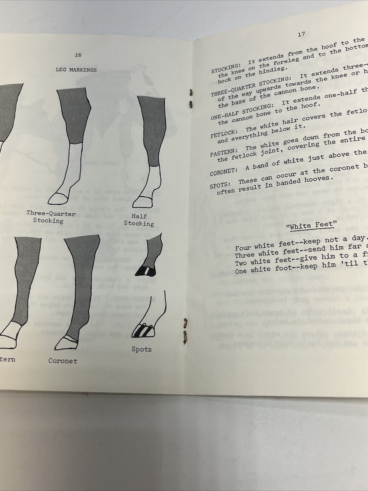 1979 Horsemanship Manual “Honey Rock Camp” Wheaton, IL. By Judy Meyer 32 Pages