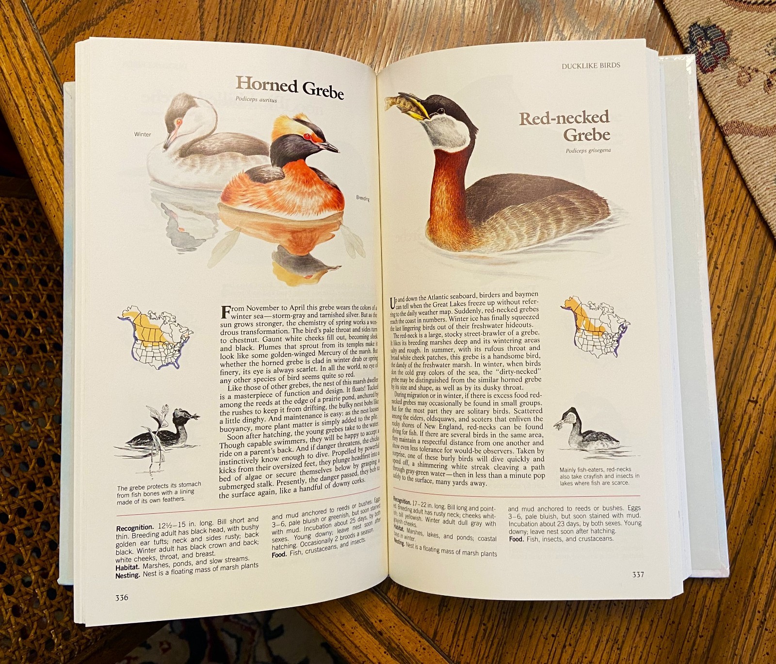 Vintage Reader’s Digest „BOOK of NORTH AMERICAN BIRDS“, hardcover, 576 pgs, Mint