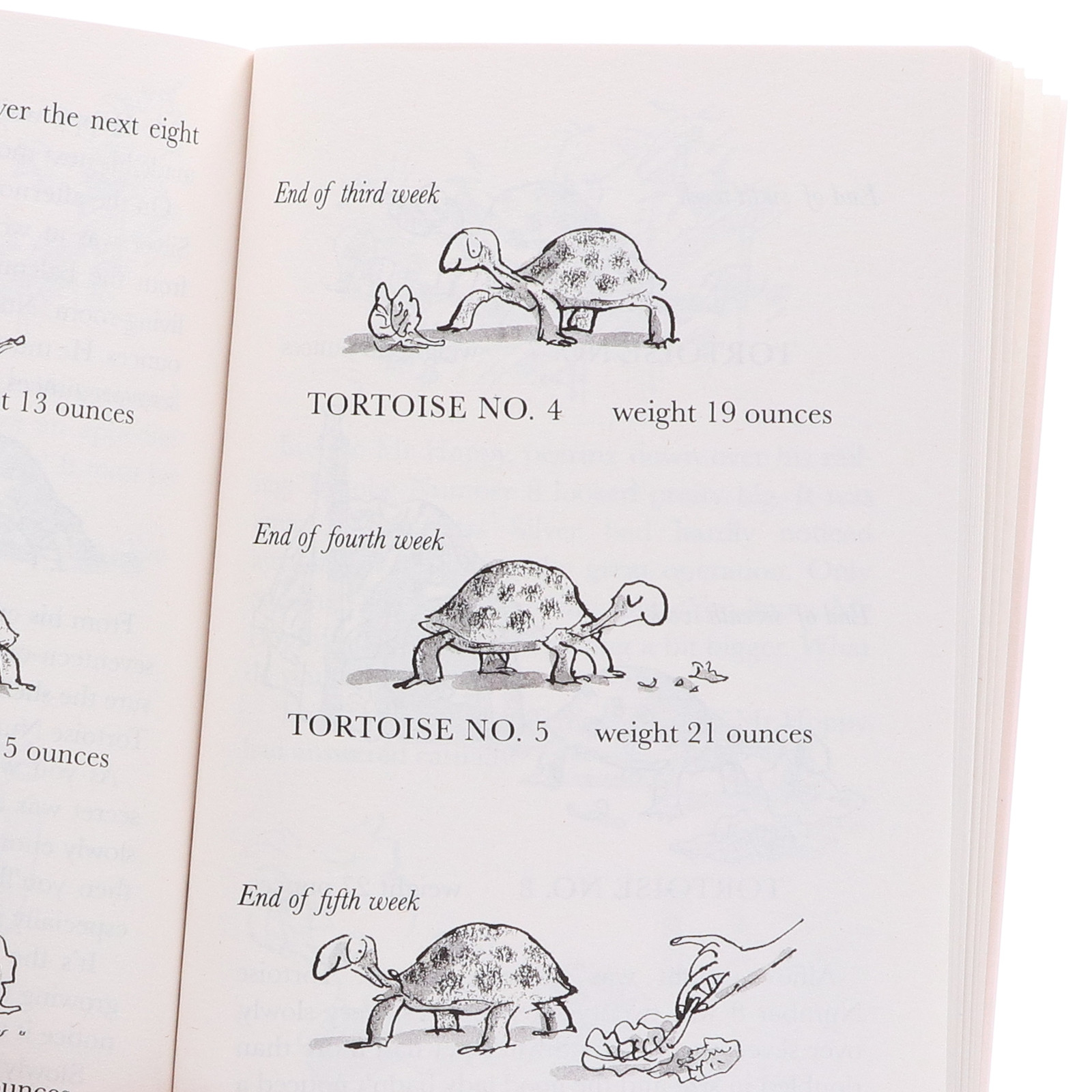 Roald Dahl Collection 16 Books Box Set – Ages 7-9 – Paperback