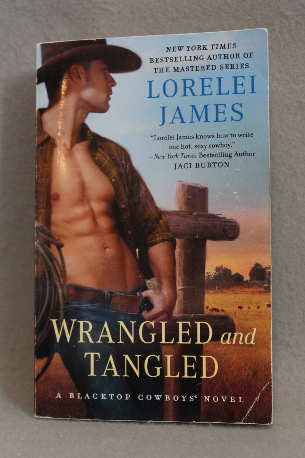 Blacktop Cowboys Series 14 Titles in 12 PBs Lorelei James PB Novellas USED Good