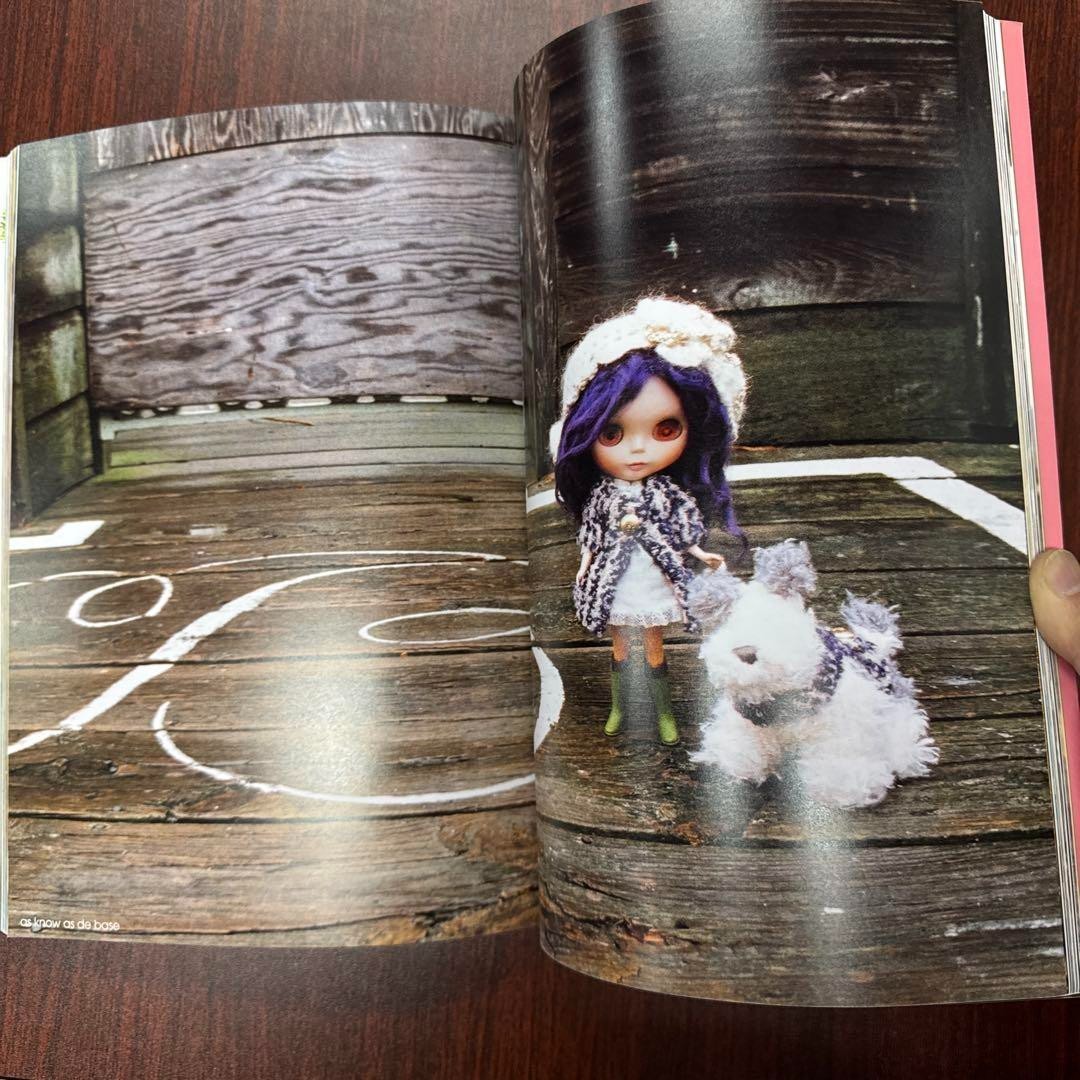 Blythe A Wonder World doll Art book Japan 2008 Junko Wong Graphic 168 pages USED