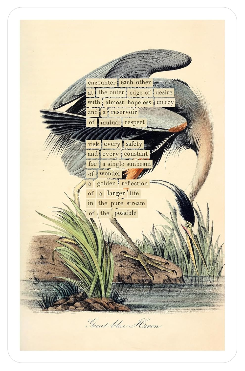 An Almanac of Birds: 100 Divinations for Uncertain Days