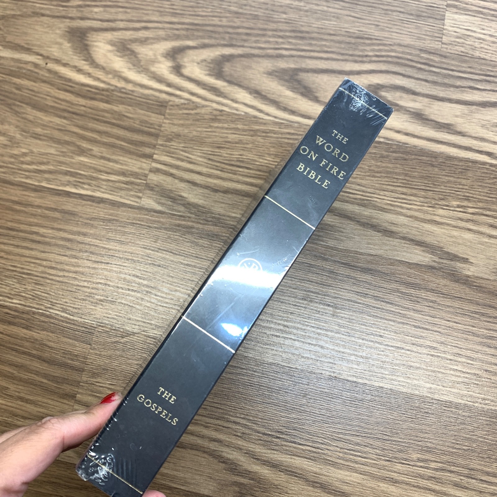 The Word on Fire Bible: The Gospels Paperback 592 Pages – NEW SEALED