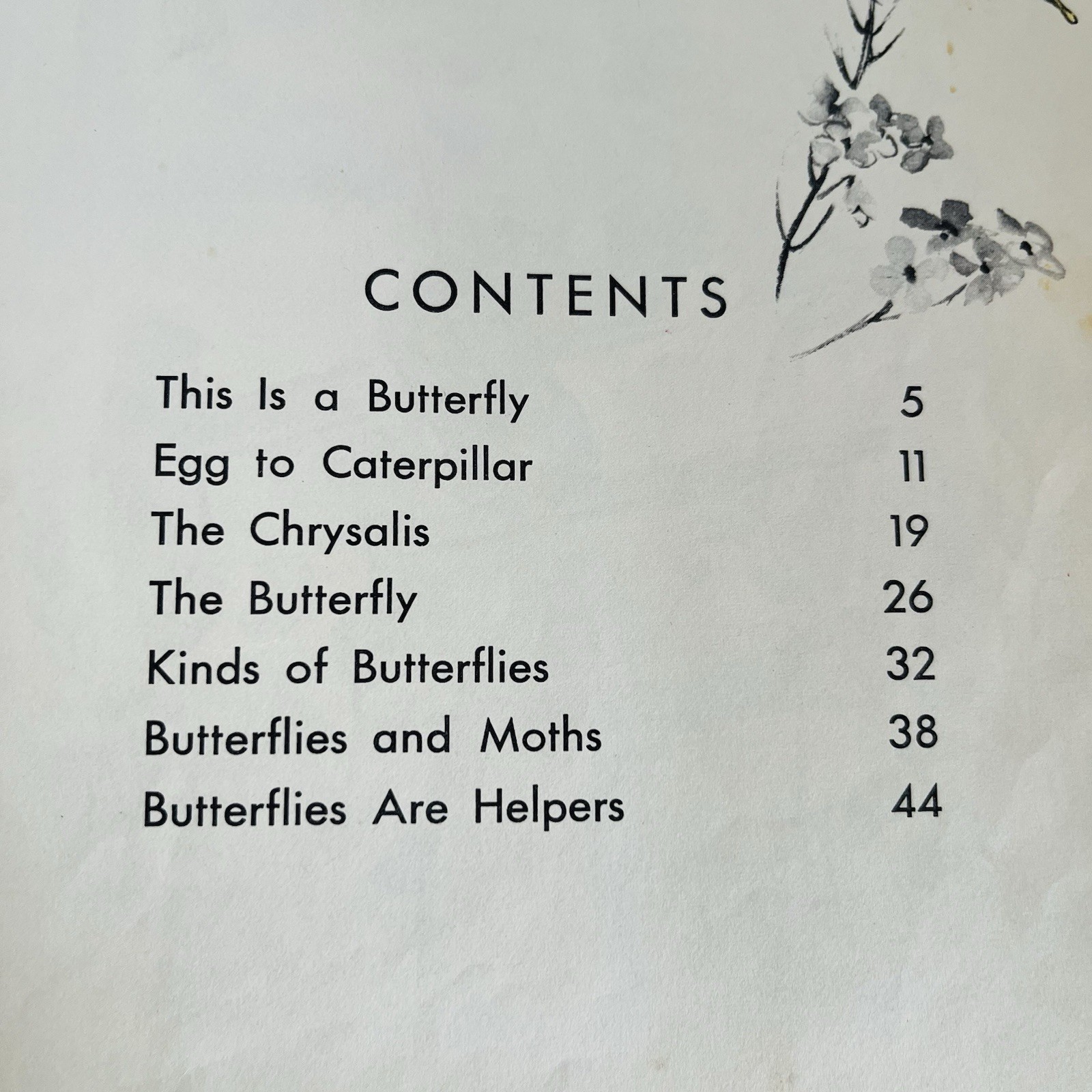 What Is A Butterfly Book 1958 Gene Darby What Is It Series Vintage MCM Science