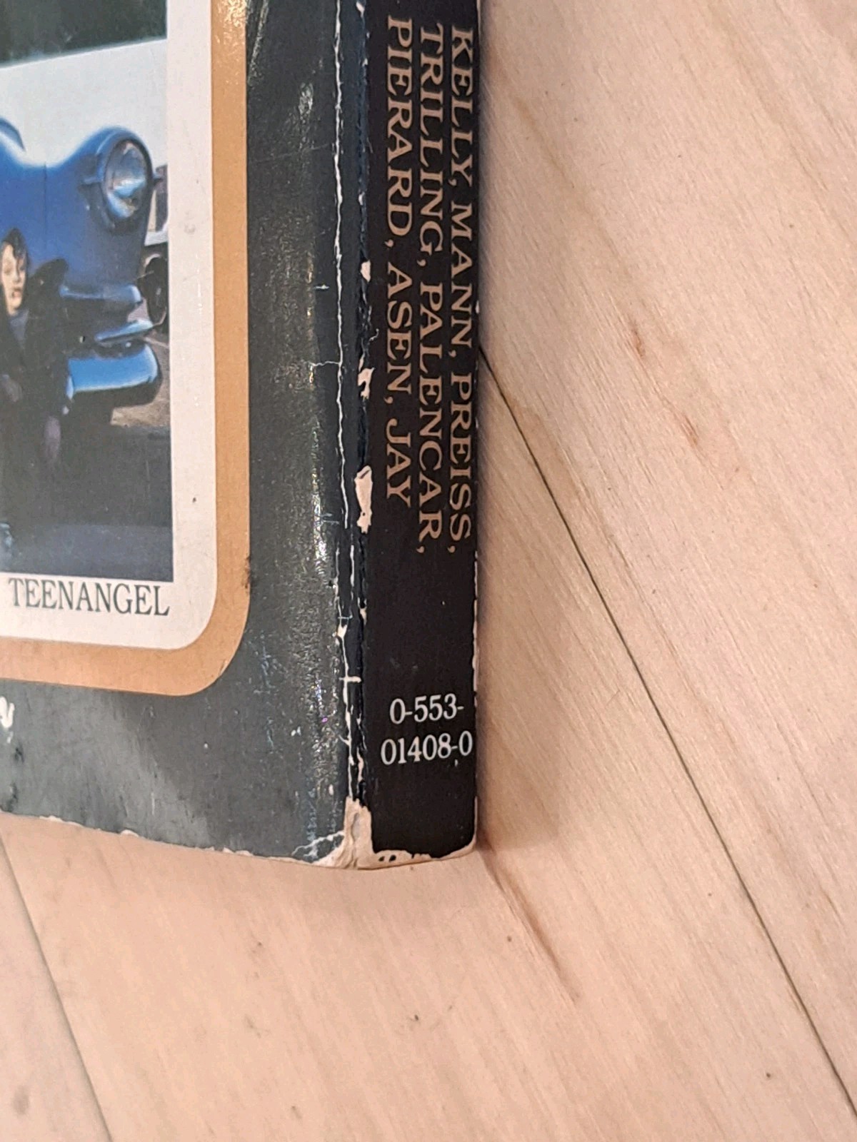 The Secret: A Treasure Hunt 1982 First Edition Bantam Paperback Palencar Preiss