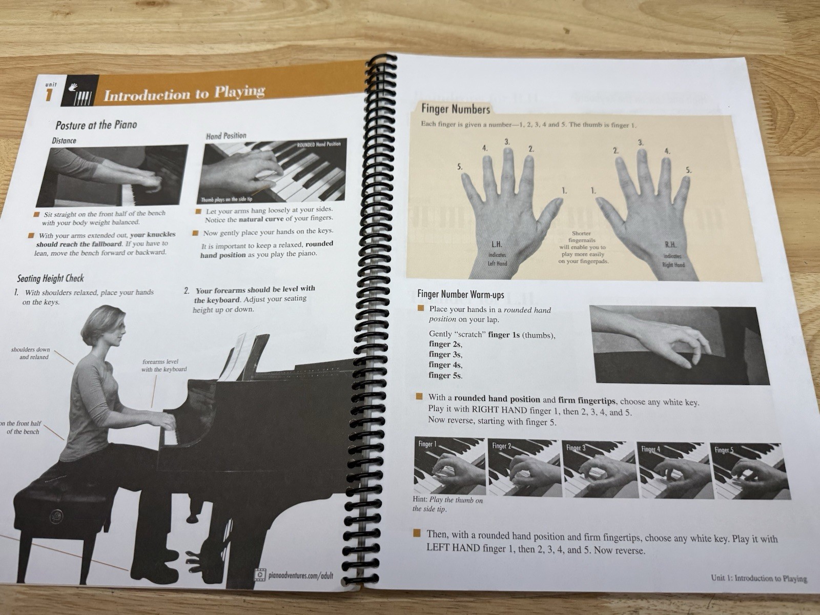 Adult Piano Adventures All-in-One Piano Course Book Vol 1: Book Good Condition