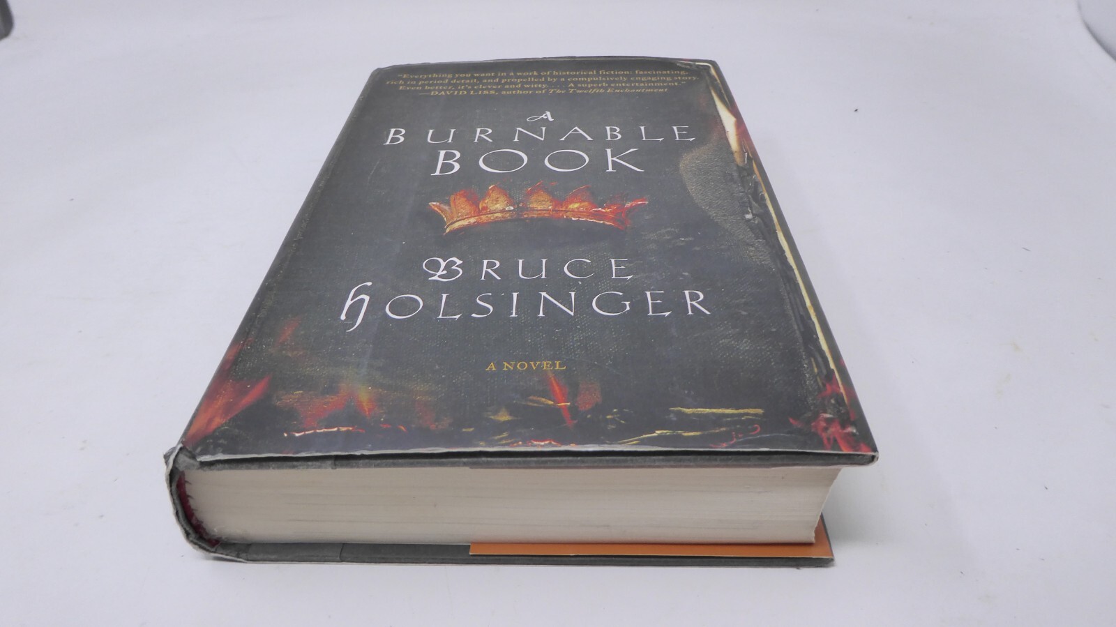 *SIGNED* A Burnable Book : A Novel by Bruce Holsinger (2014, Hardcover)